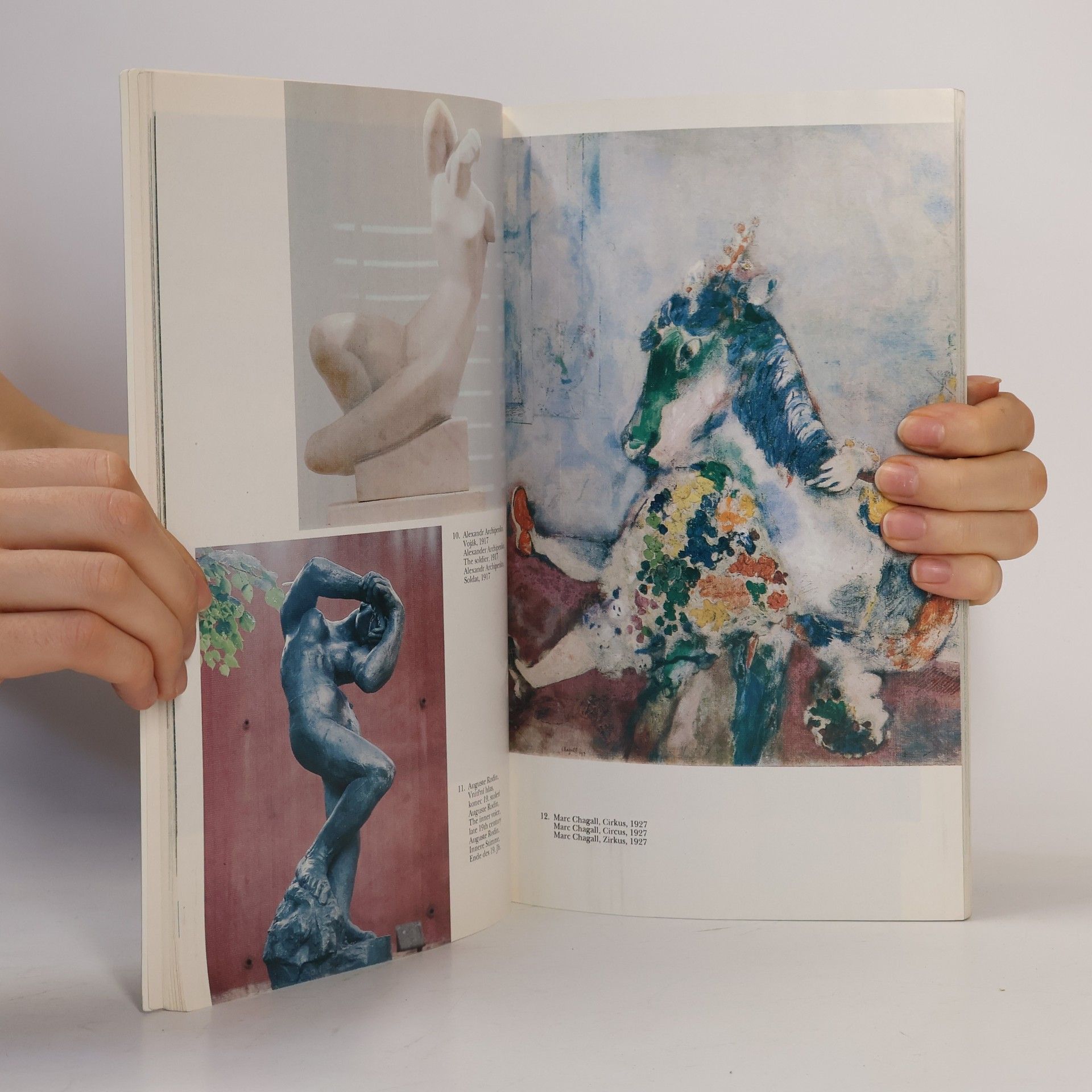 Karel Neubert Schätze der Prager Kunst-Sammlungen. (Poklady pražských uměleckých sbírek)