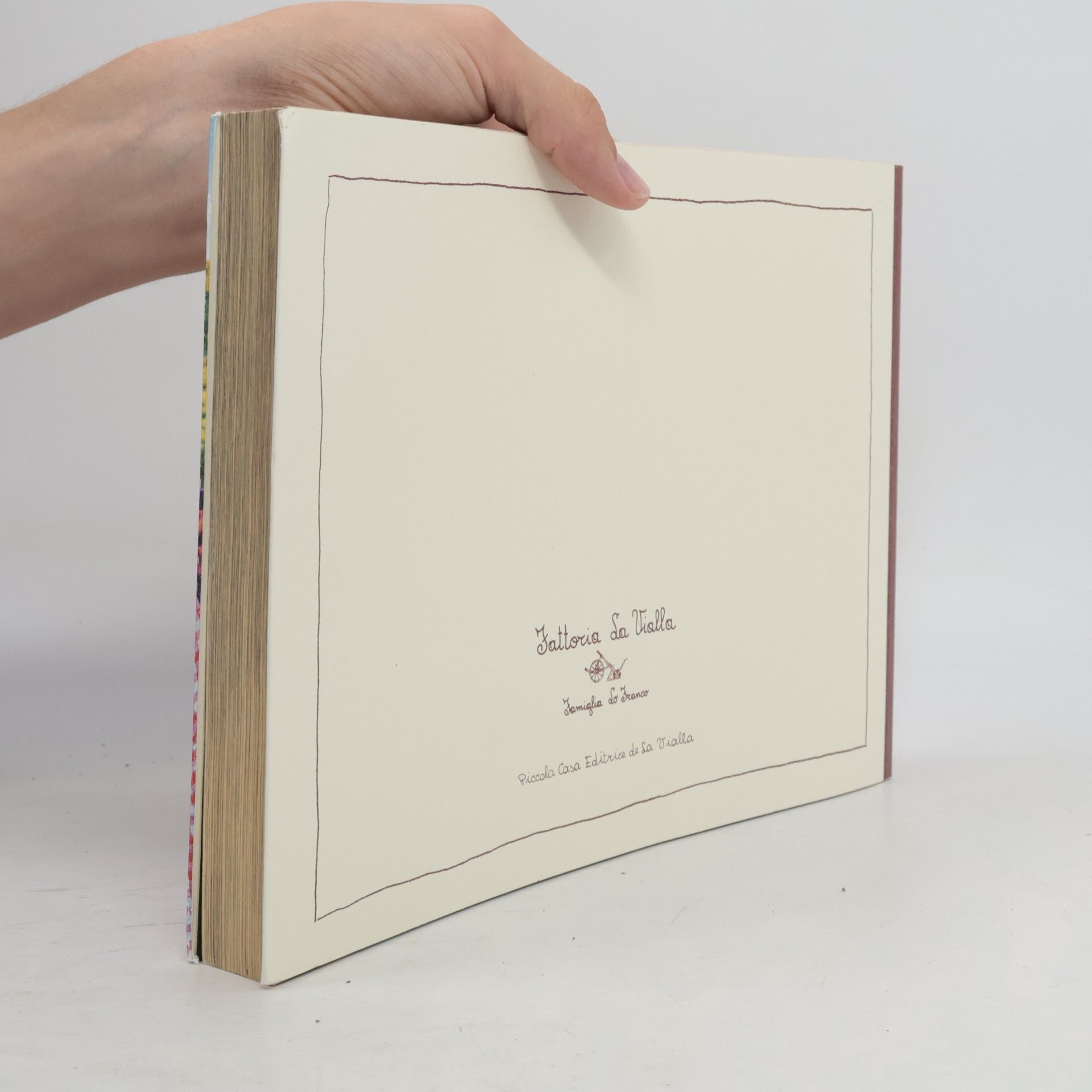 AA.VV. Le Ricette delle Cuoche de la Vialla e....
