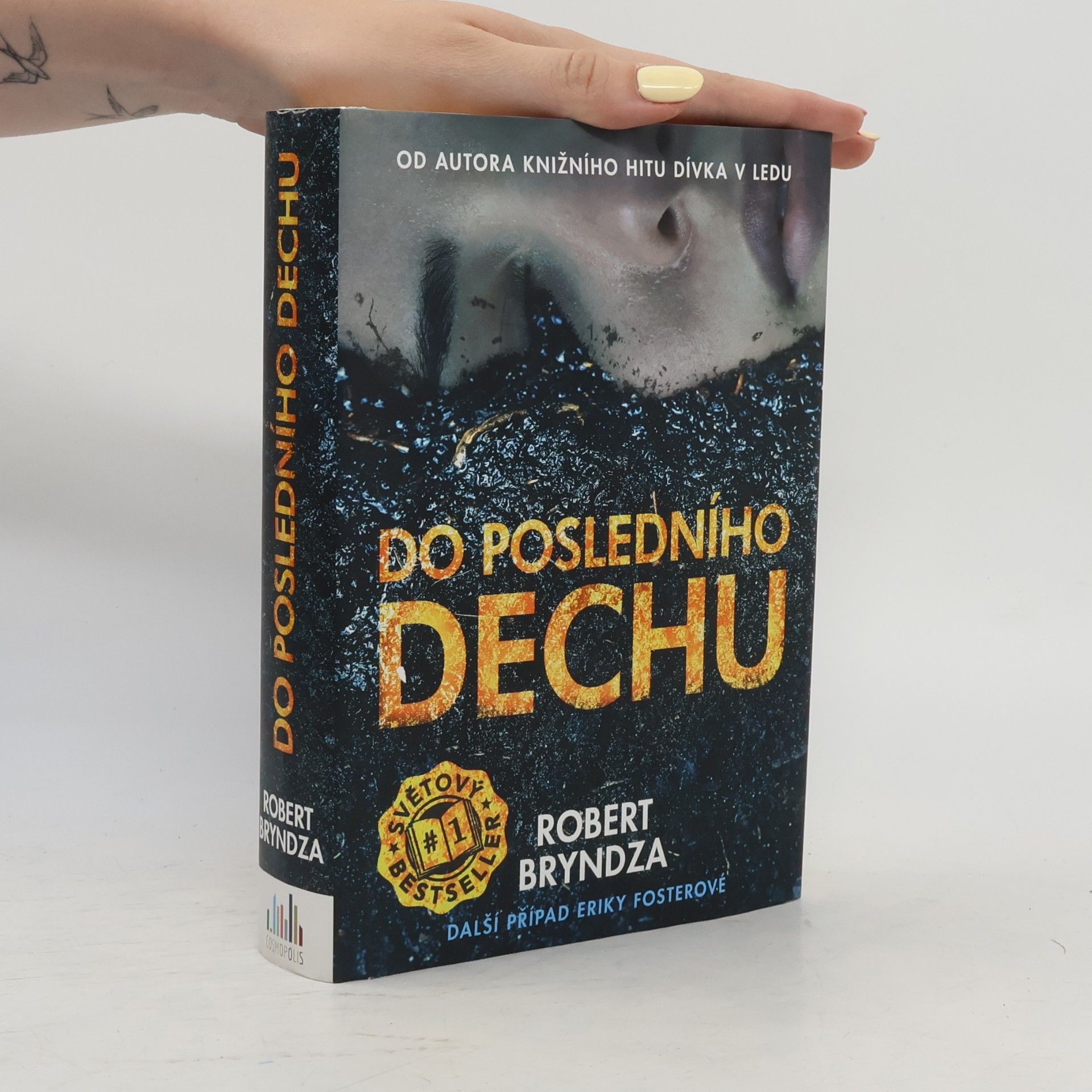 Robert Bryndza Do posledního dechu