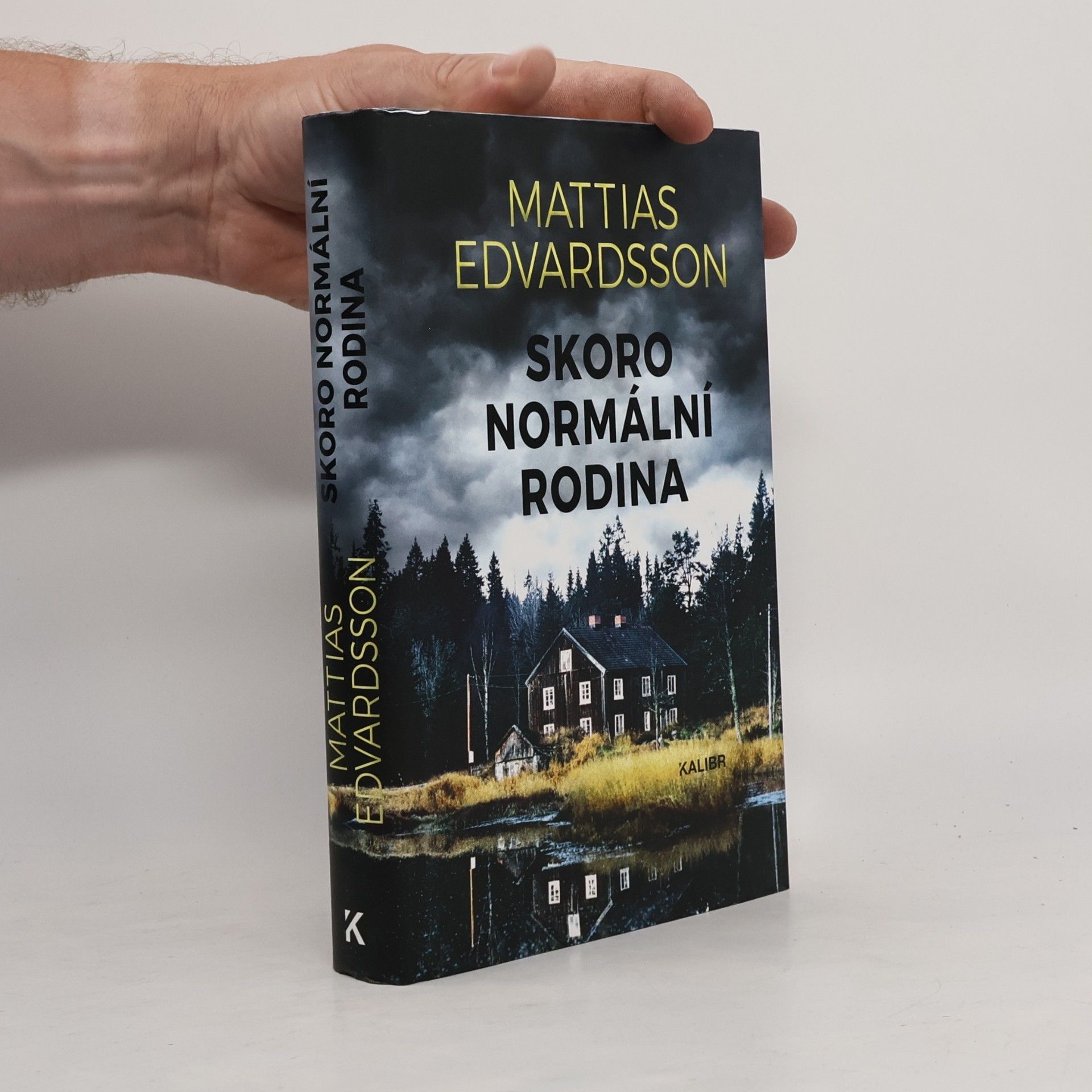 Mattias Edvardsson Skoro normální rodina