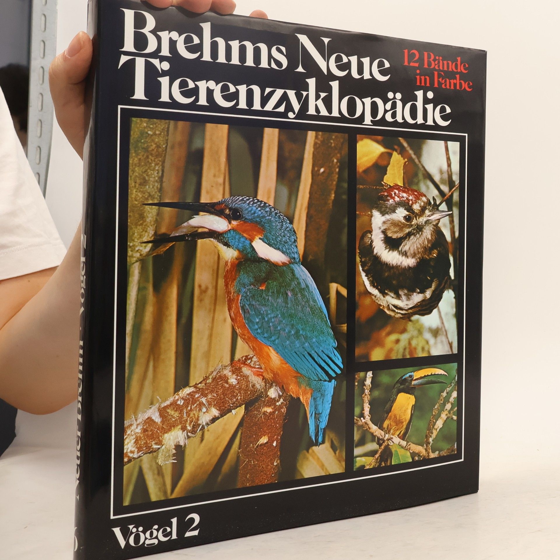 Theo Jahn Brehms neue Tierenzyklopädie. Vögel 2