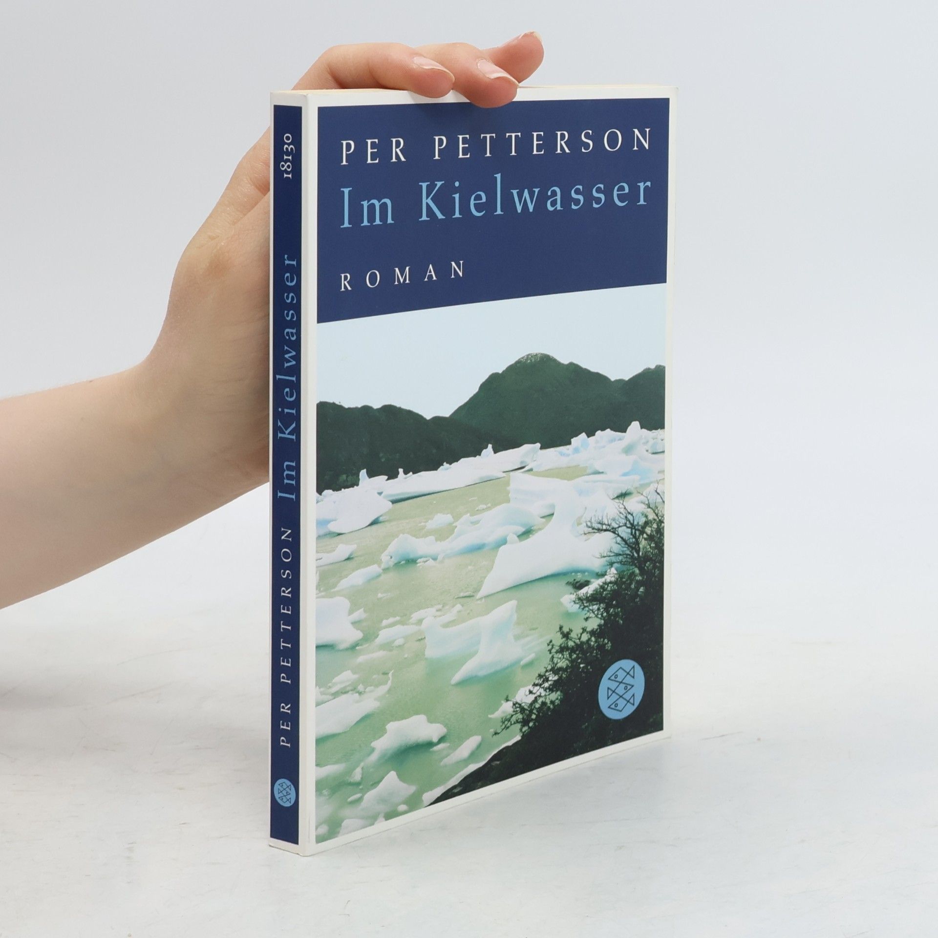 Per Petterson Im Kielwasser