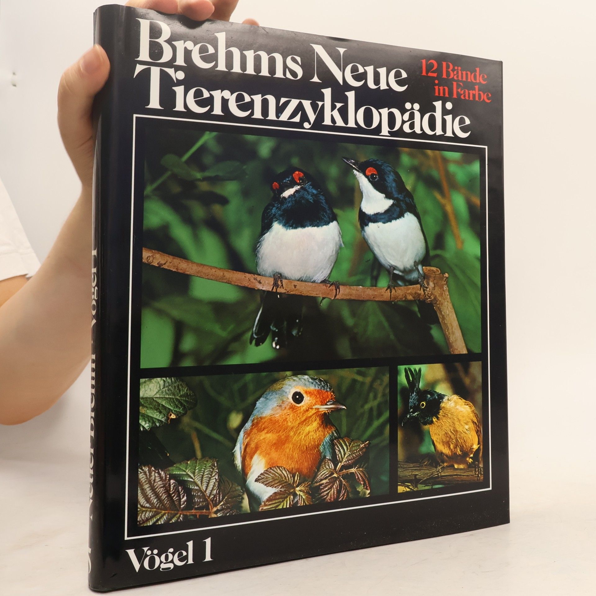 Theo Jahn Brehms neue Tierenzyklopädie 5. Vögel 1