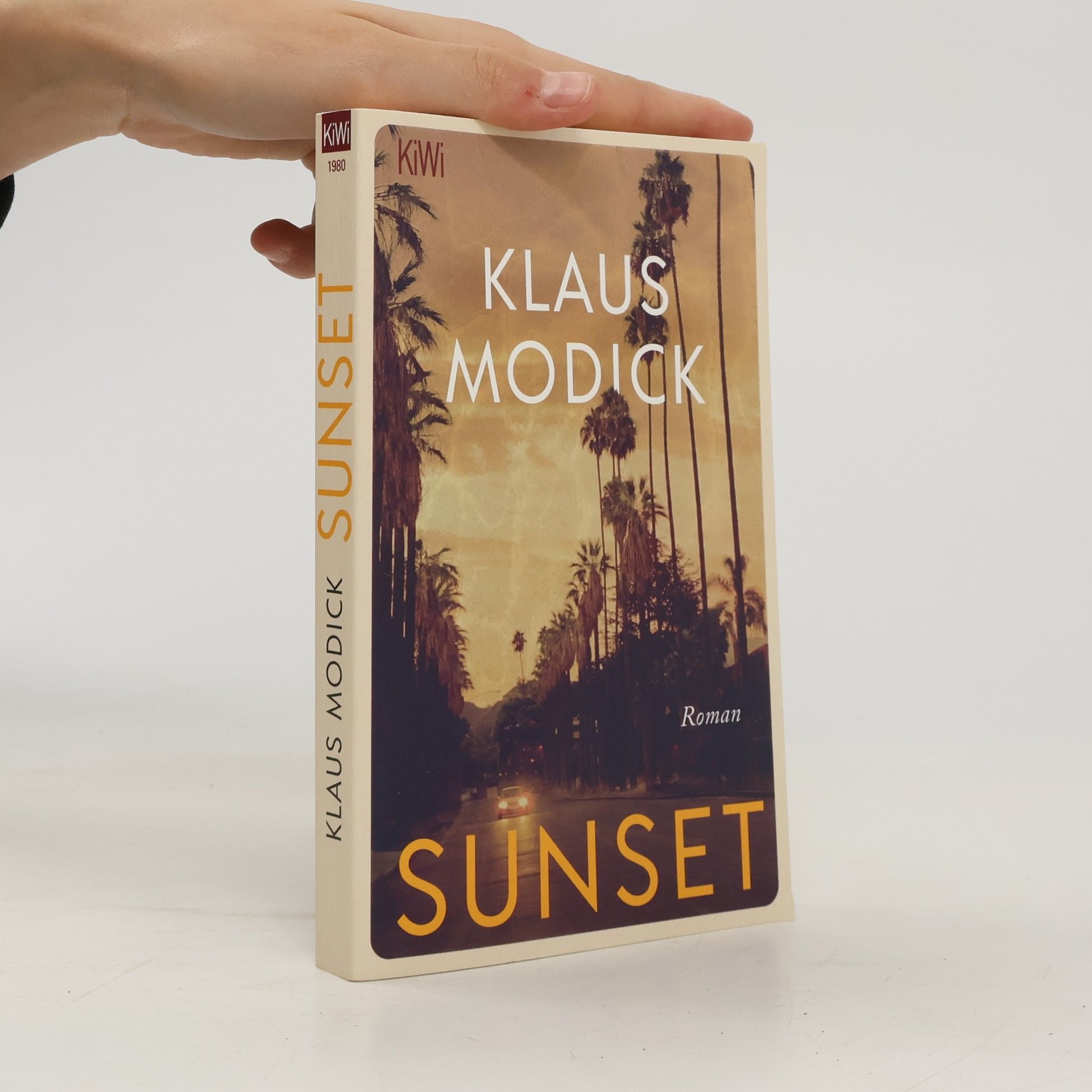 Klaus Modick Sunset