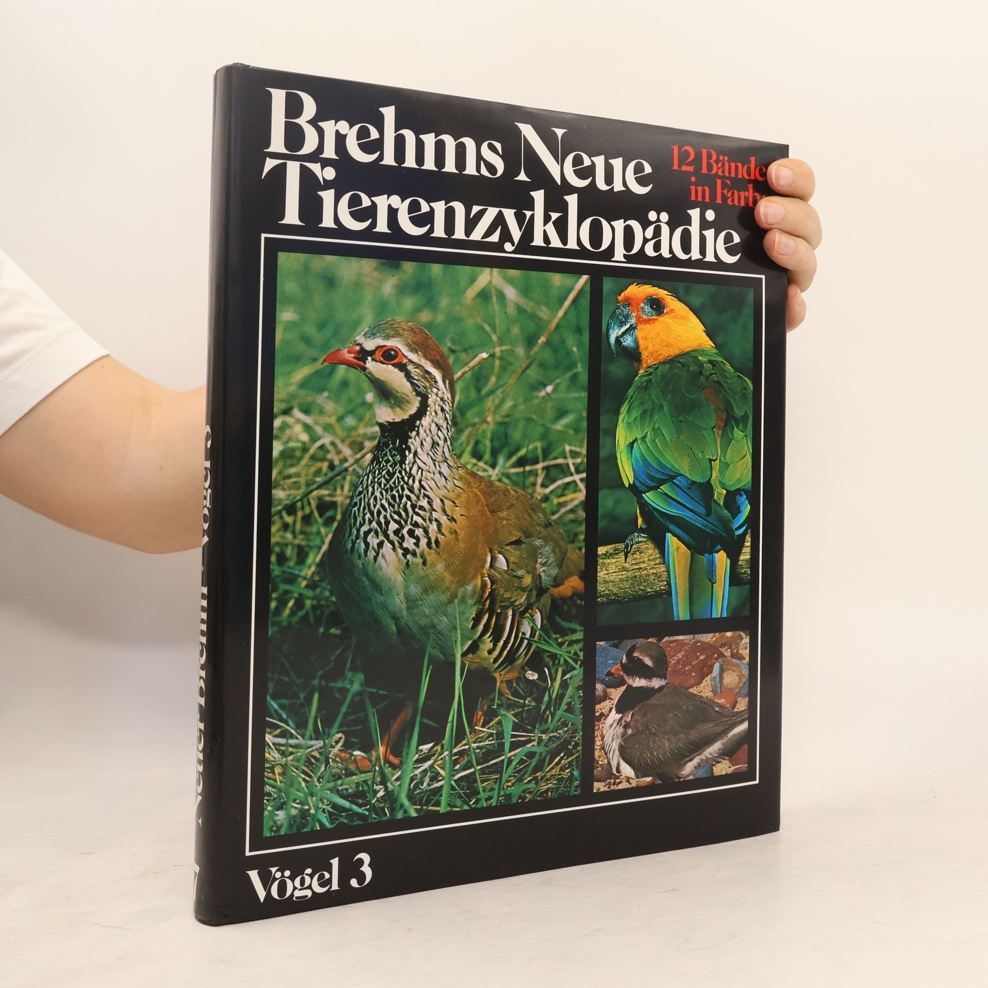 Kolektiv autorů Brehms neue Tierenzyklopädie Vögel 3 Band 7