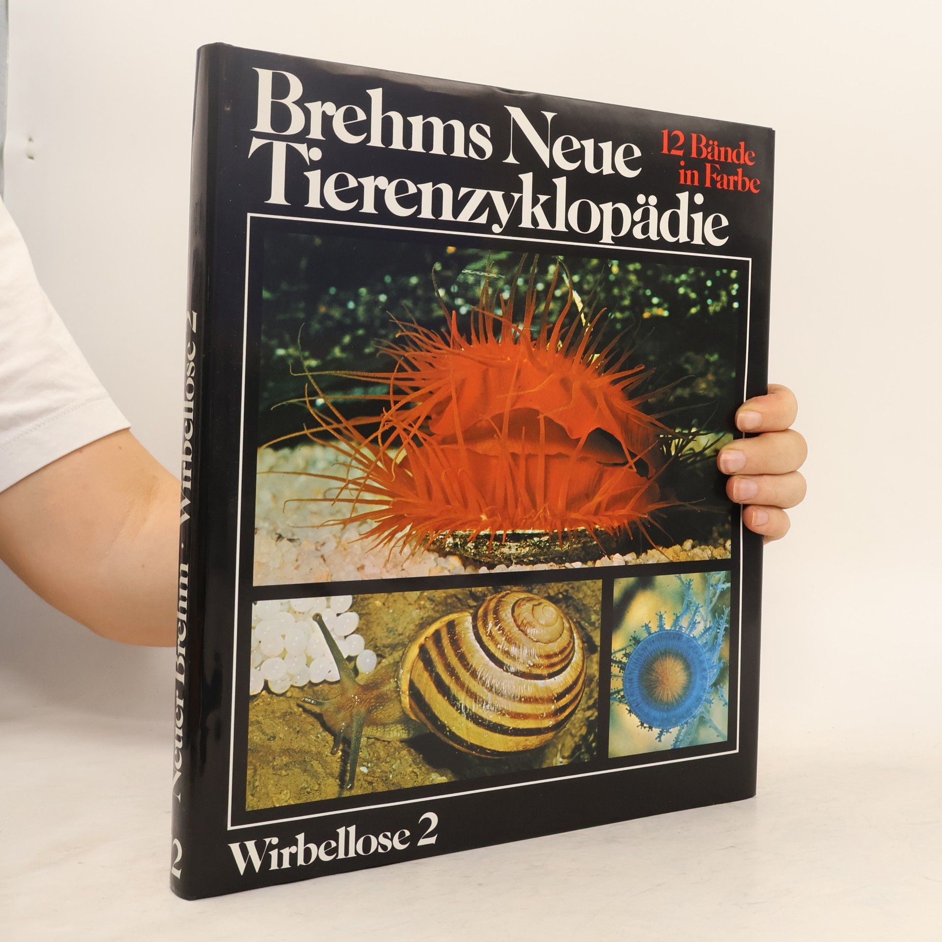 Alfred Edmund Brehm Brehms neue Tierenzyklopädie 2. Wirbellose
