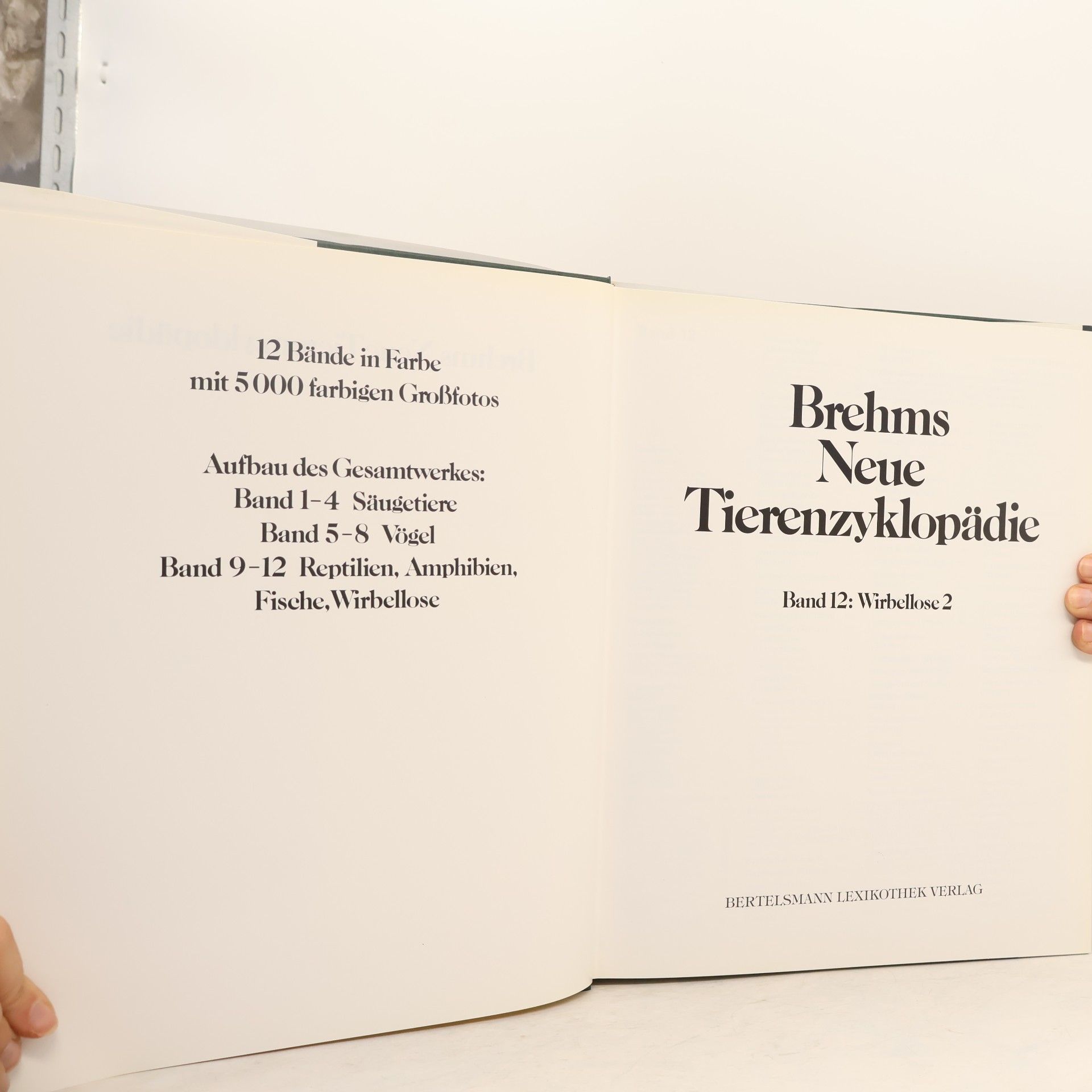 Alfred Edmund Brehm Brehms neue Tierenzyklopädie 2. Wirbellose