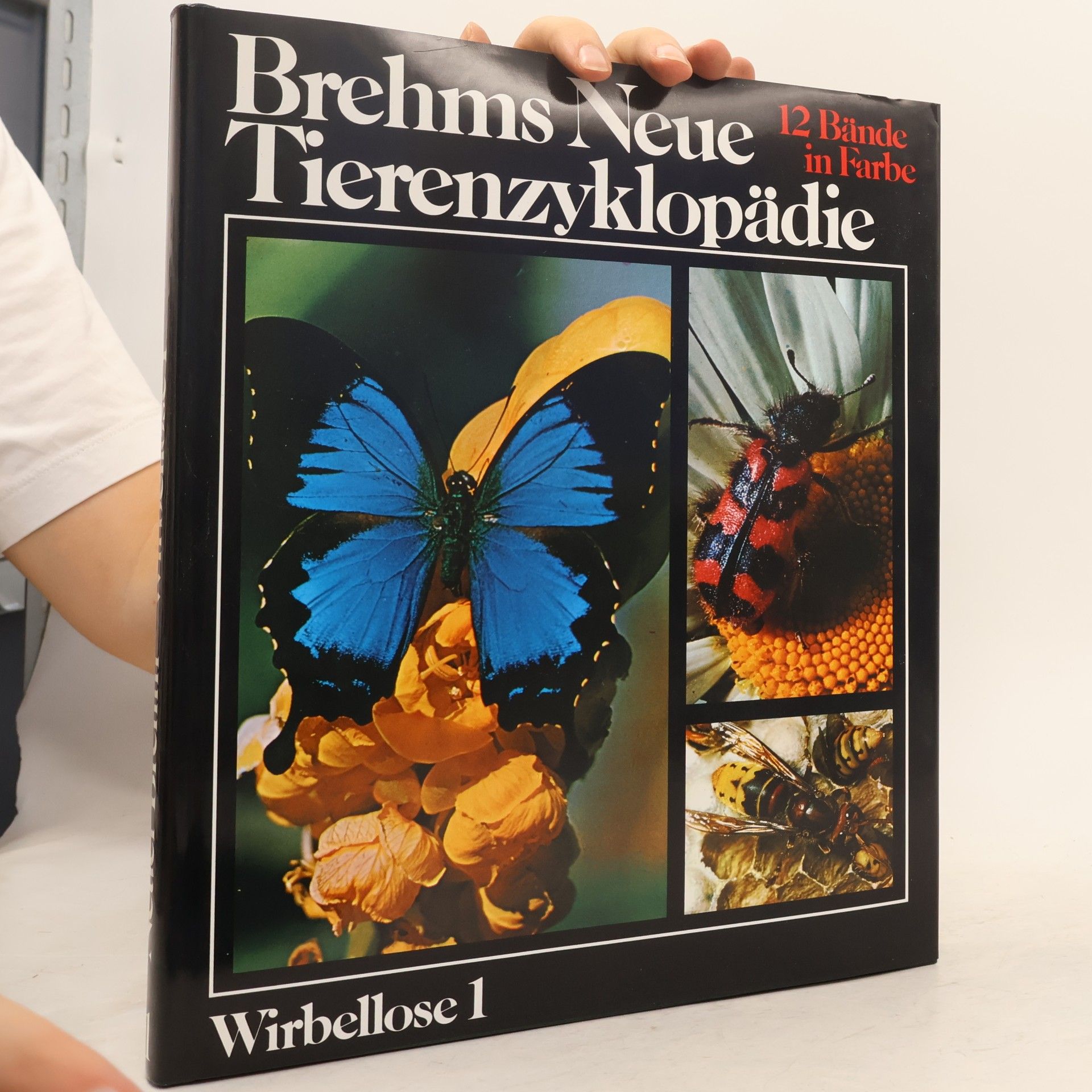 Autorenkollektiv Brehms neue Tierenzyklopädie