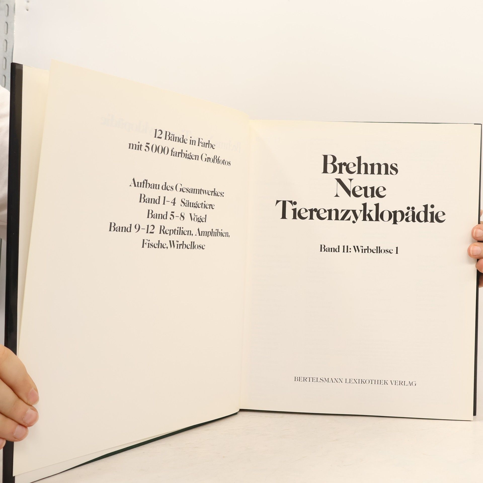 Autorenkollektiv Brehms neue Tierenzyklopädie