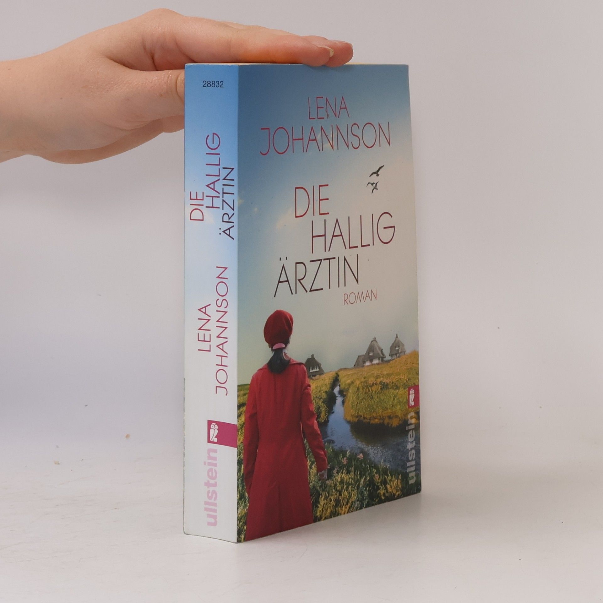 Lena Johannson Die Halligärztin