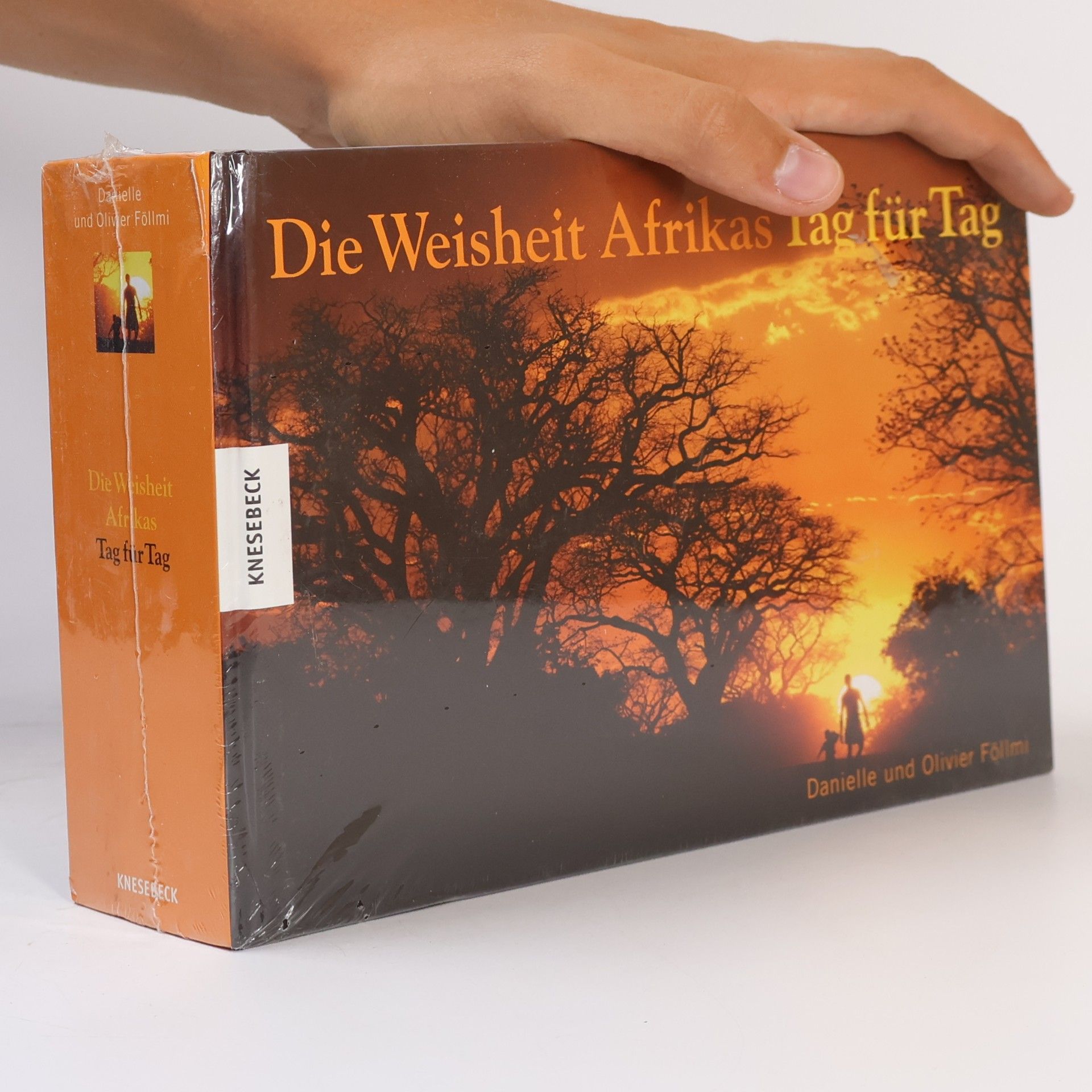 Die Weisheit Afrikas Tag für Tag
