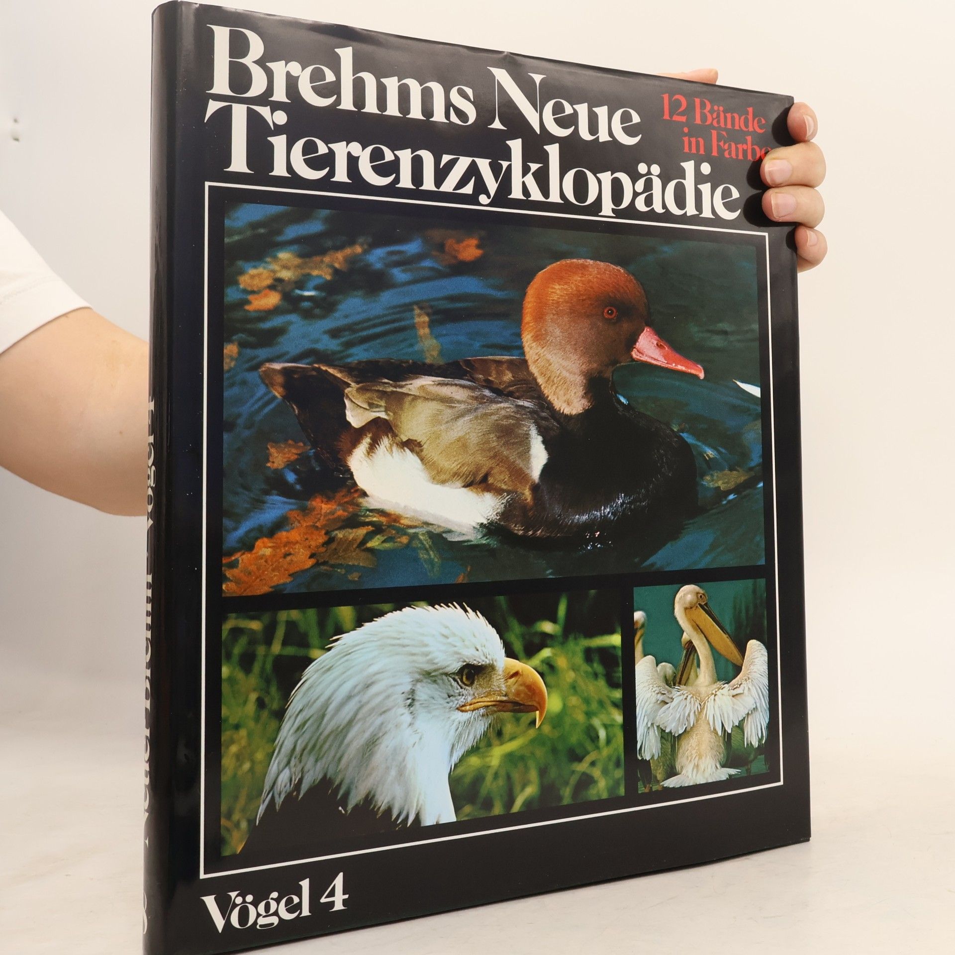 Alfred Edmund Brehm Brehms neue Tierenzyklopädie. Vögel 4