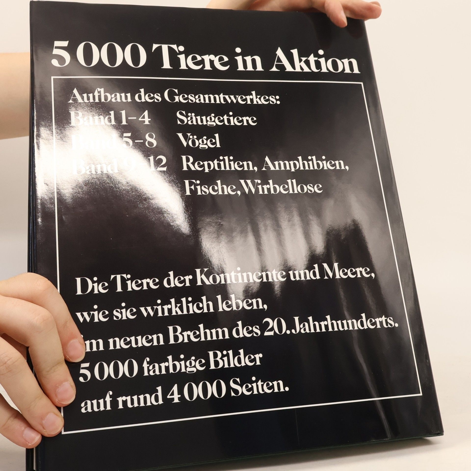 Alfred Edmund Brehm Brehms neue Tierenzyklopädie. Vögel 4