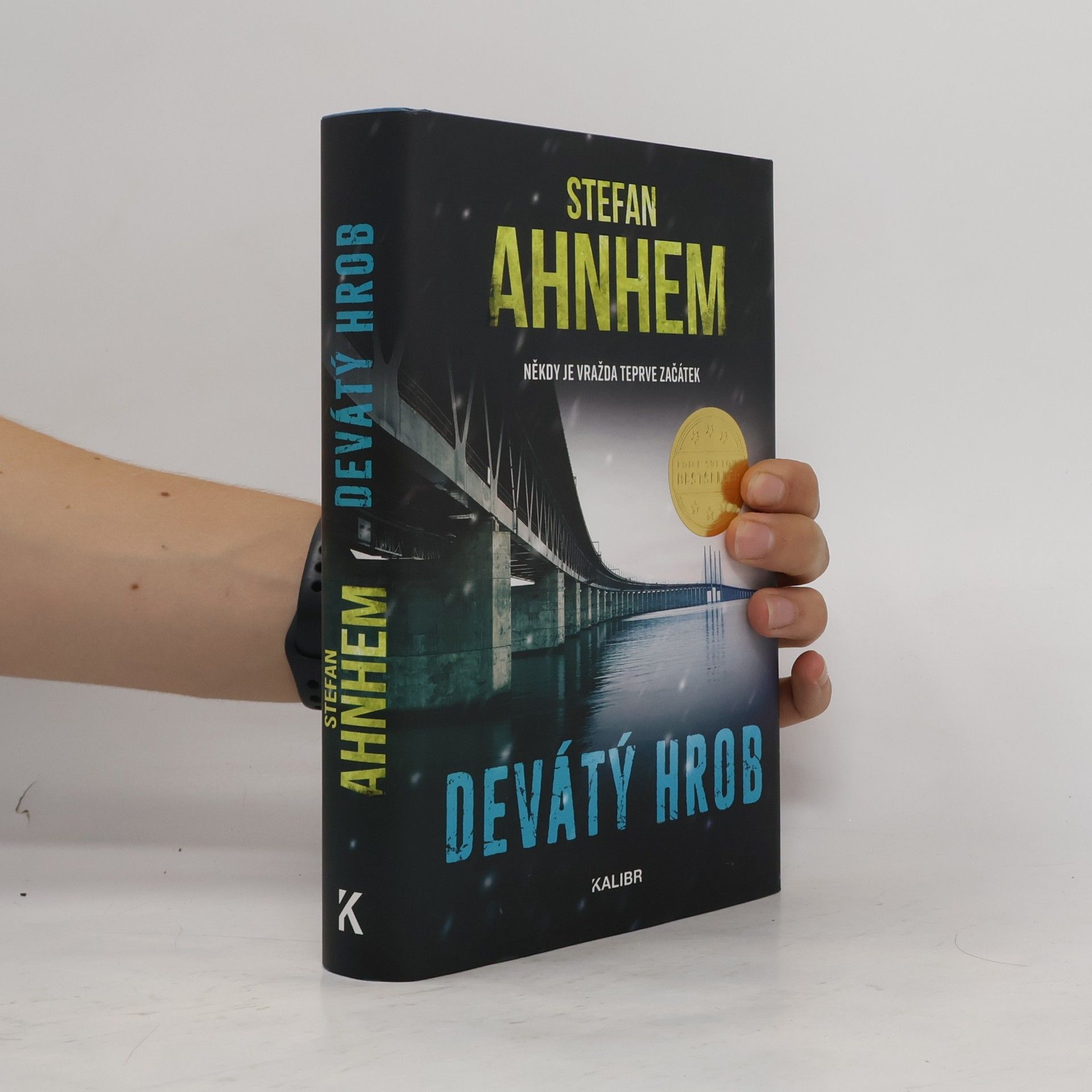 Stefan Ahnhem Devátý hrob