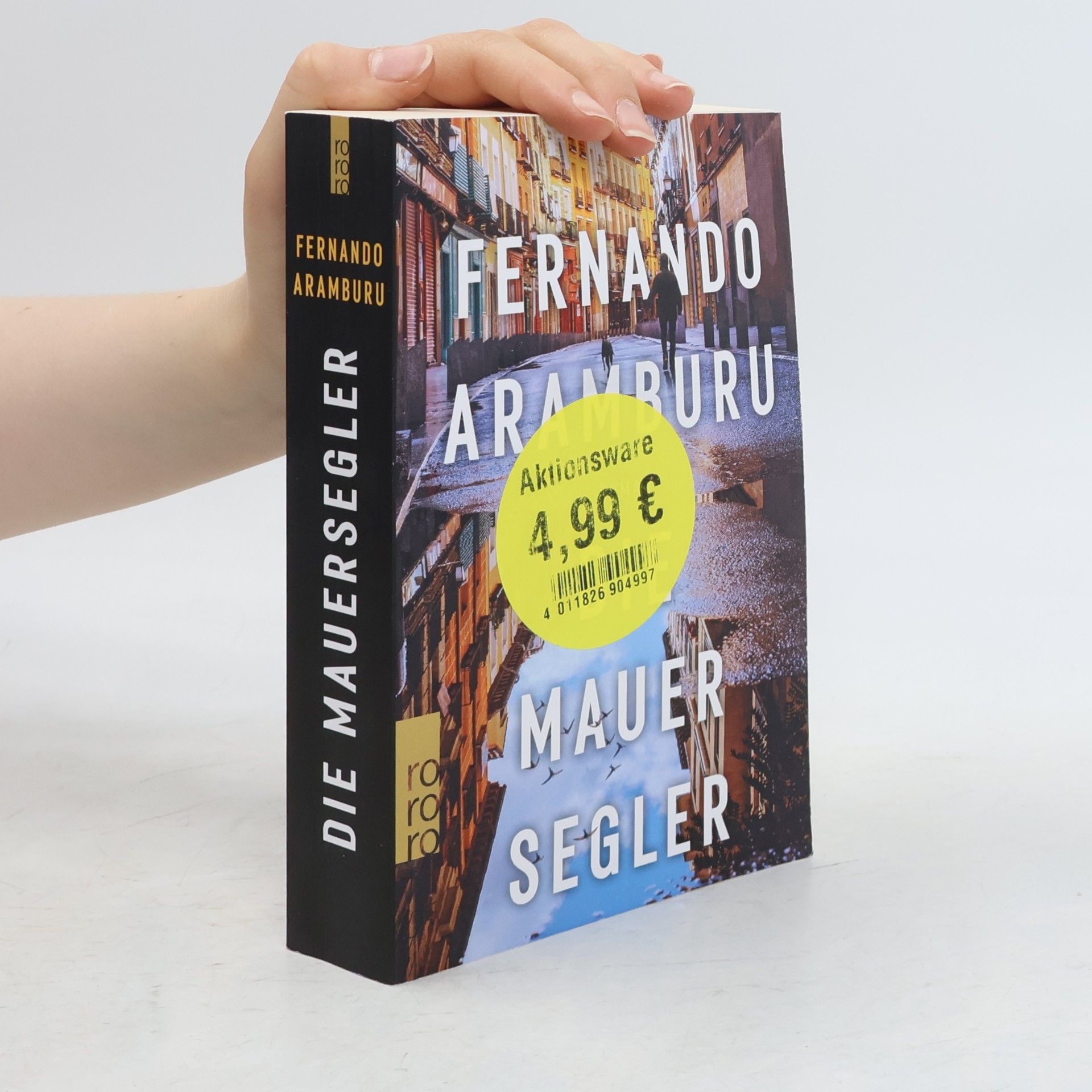 Fernando Aramburu Die Mauersegler