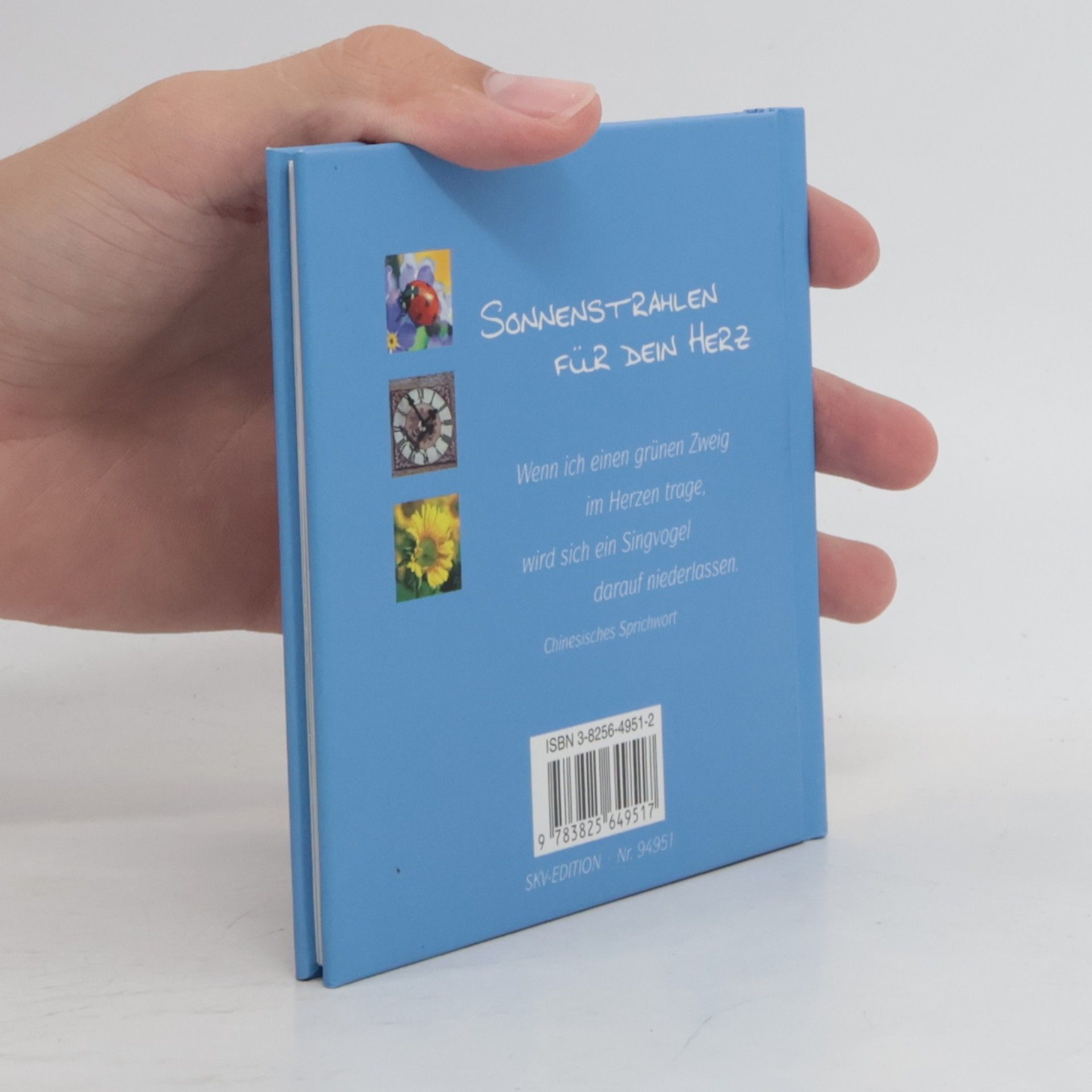 Kleine Geschenk-Bibliothek: Ein Strauss von positiven Worten