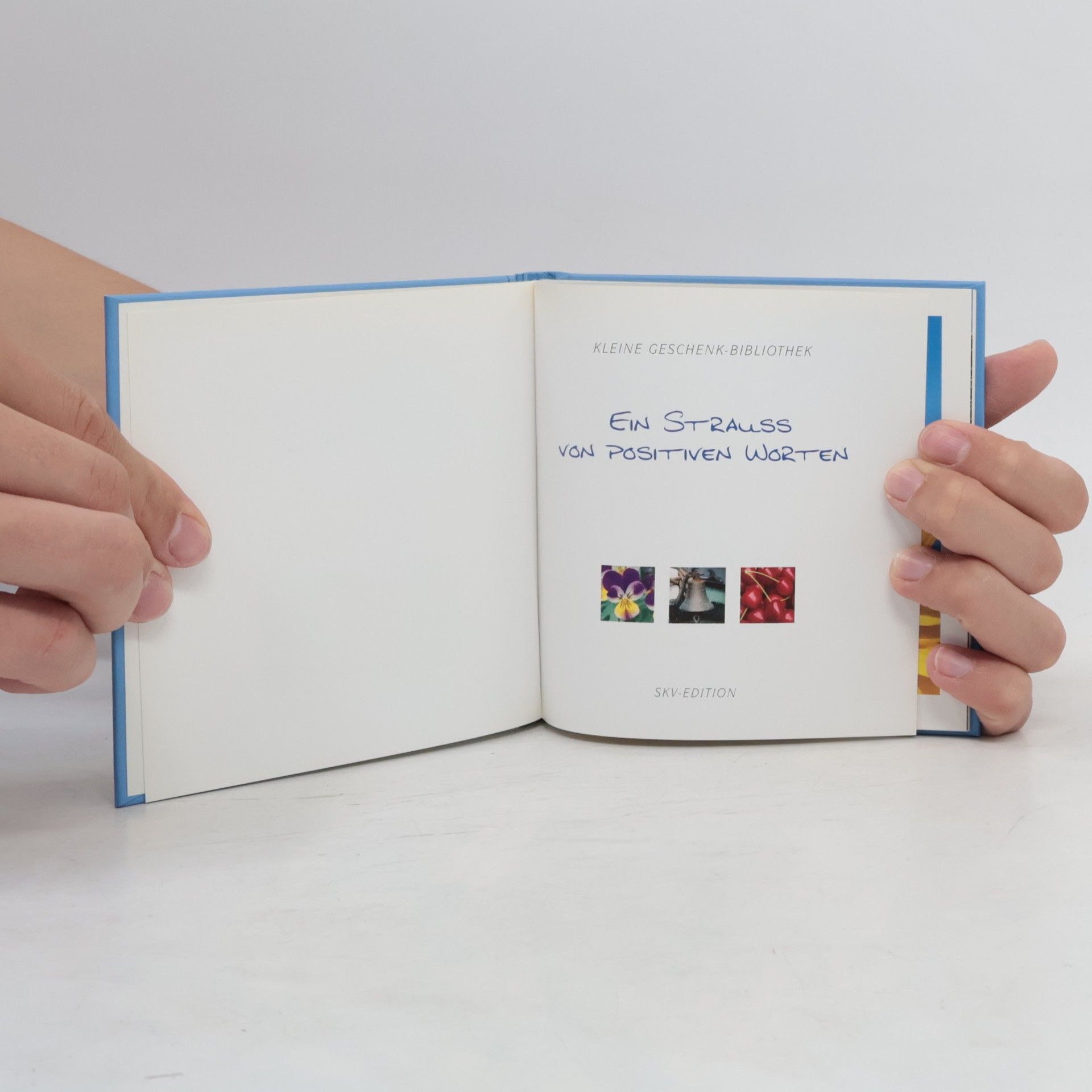 Kleine Geschenk-Bibliothek: Ein Strauss von positiven Worten