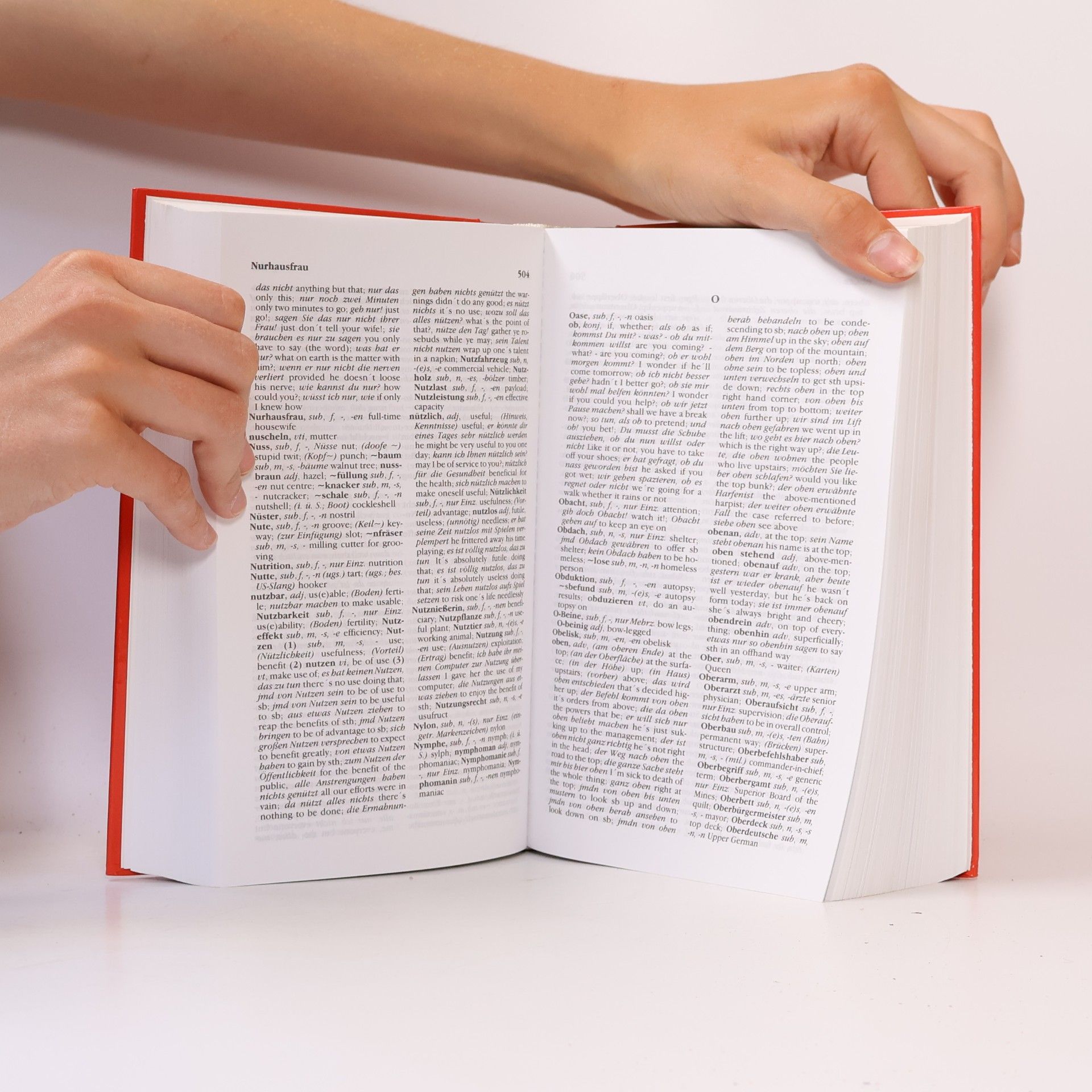 Das große Wörterbuch