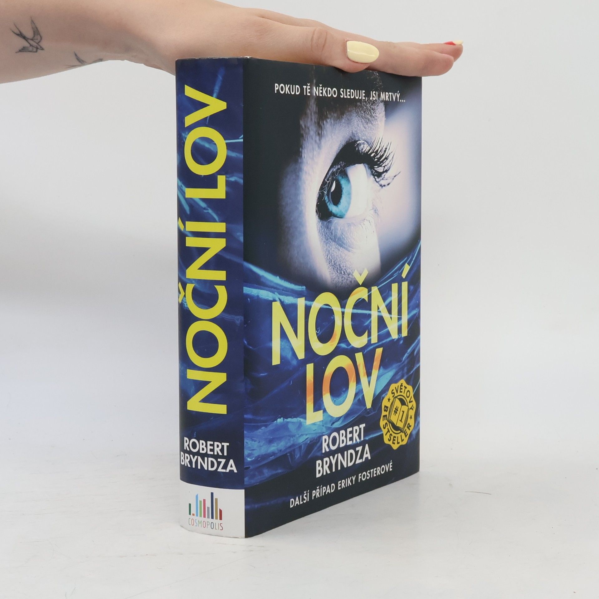 Robert Bryndza Noční lov