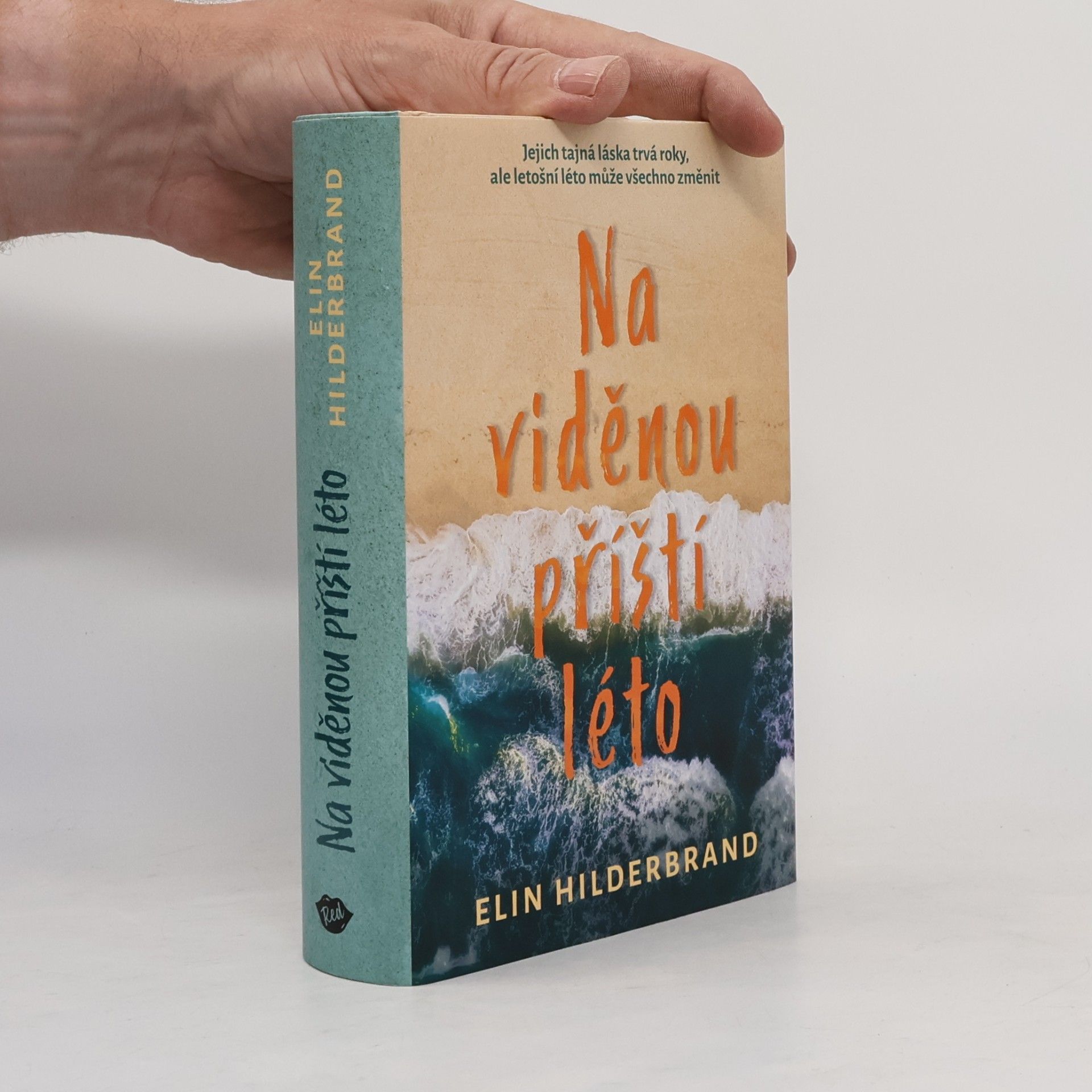 Elin Hilderbrand Na viděnou příští léto