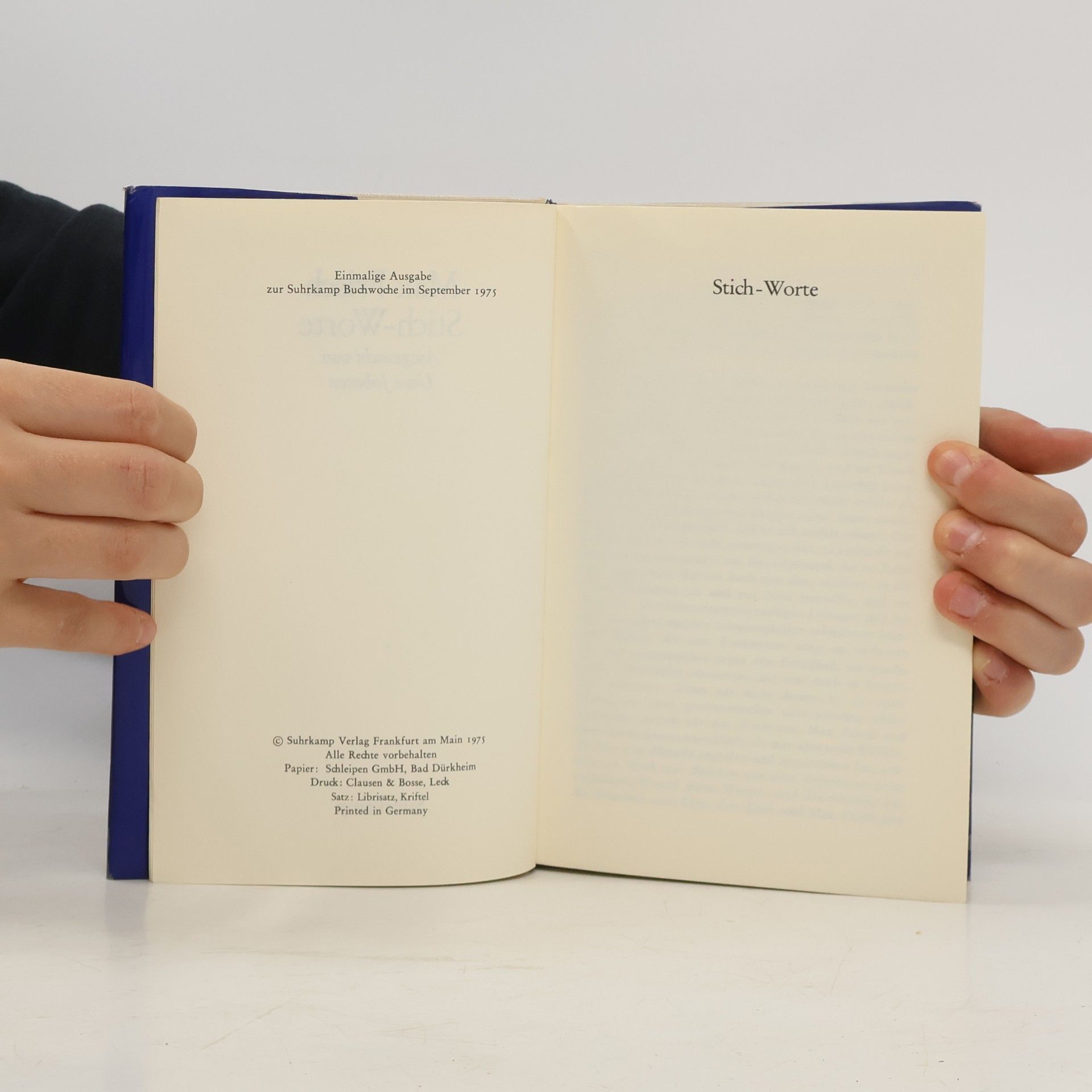 Max Frisch Stich-Worte