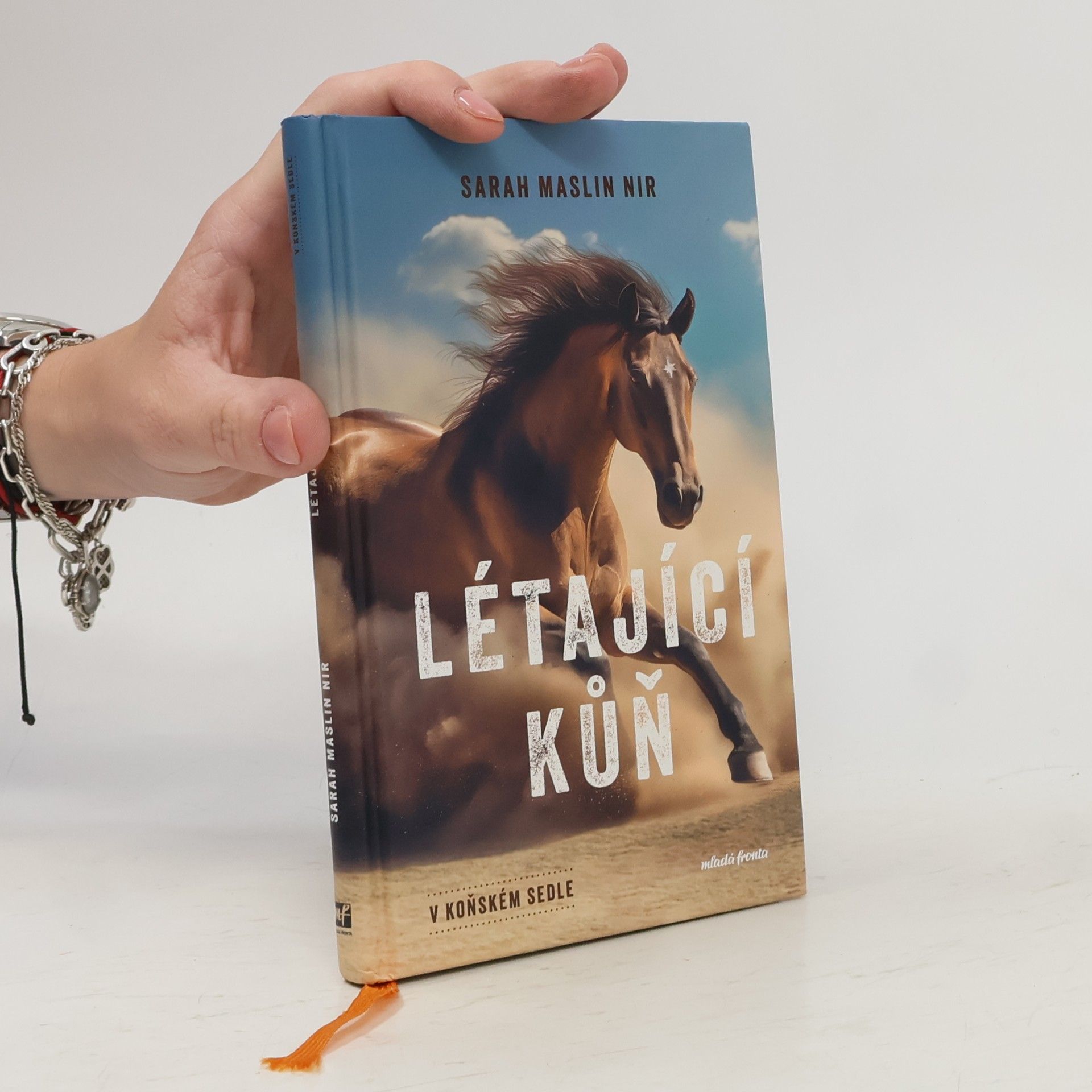 Sarah Maslin Nir Létající kůň