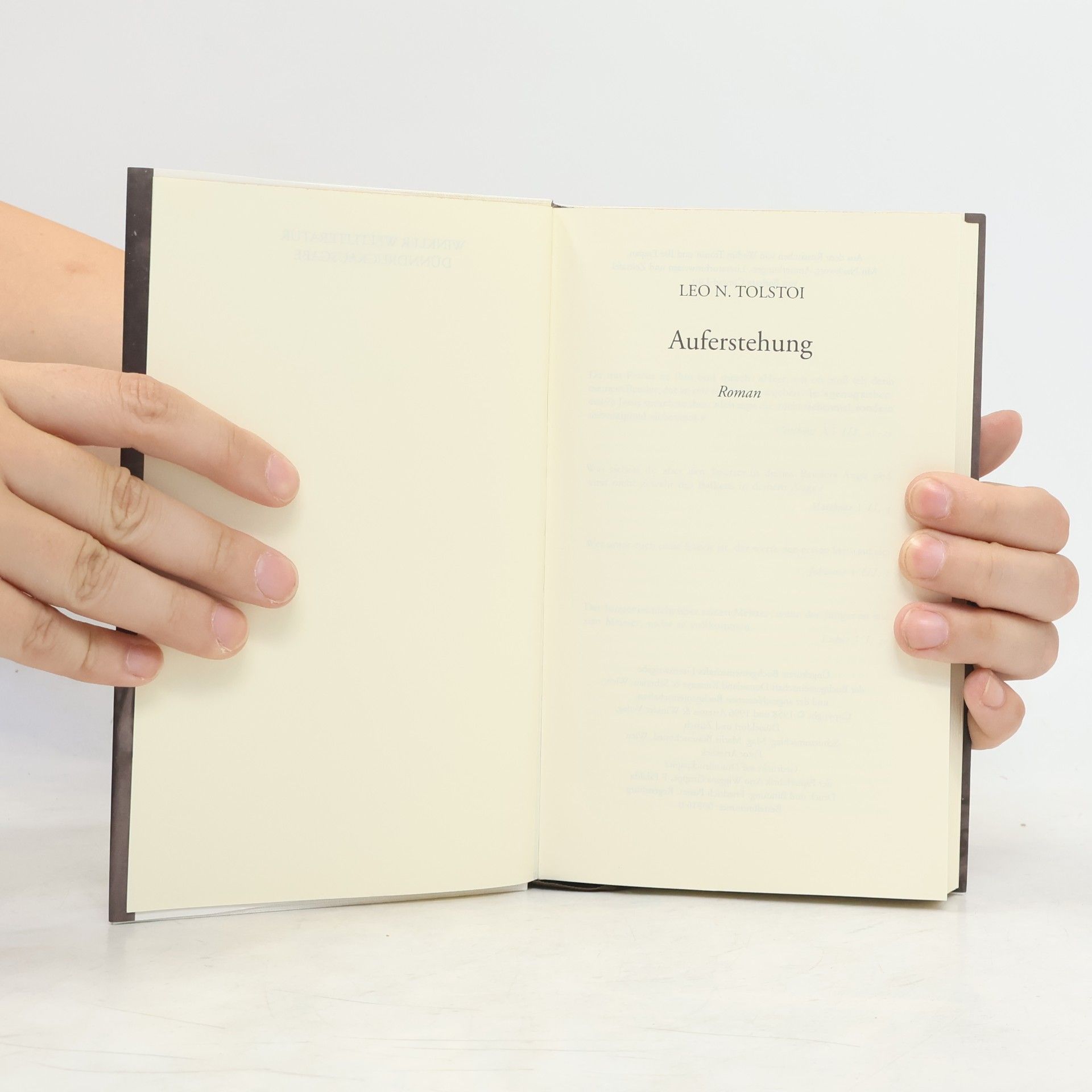 Lew Nikolajewitsch Tolstoi Auferstehung