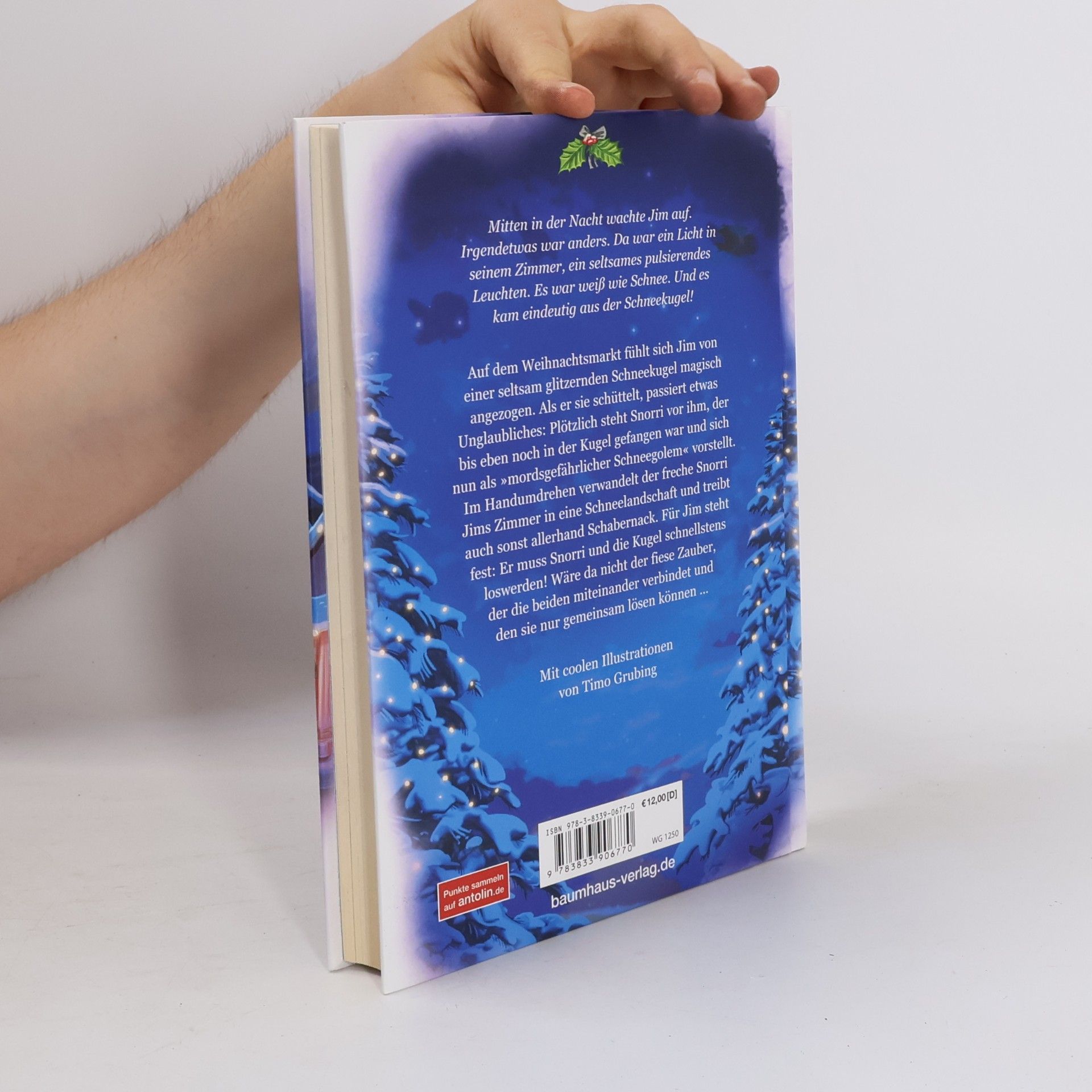 Anne Scheller Die geheimnisvolle Weihnachtskugel