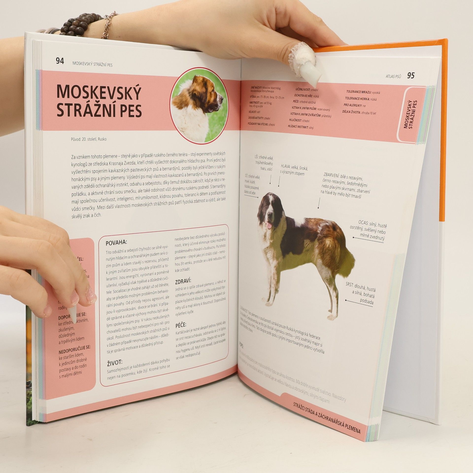 Anna Biziorek Atlas psů