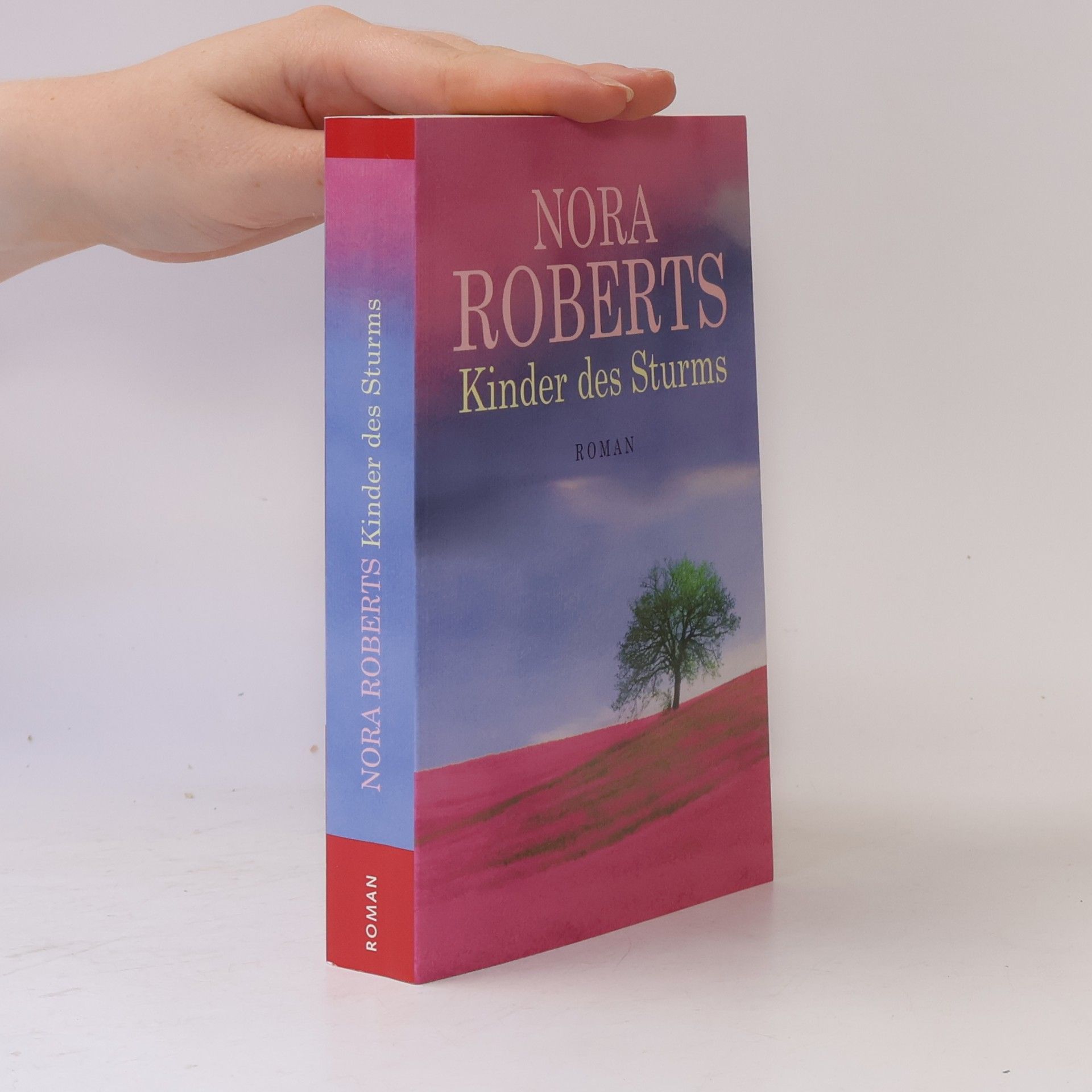 Nora Roberts Kinder des Sturms