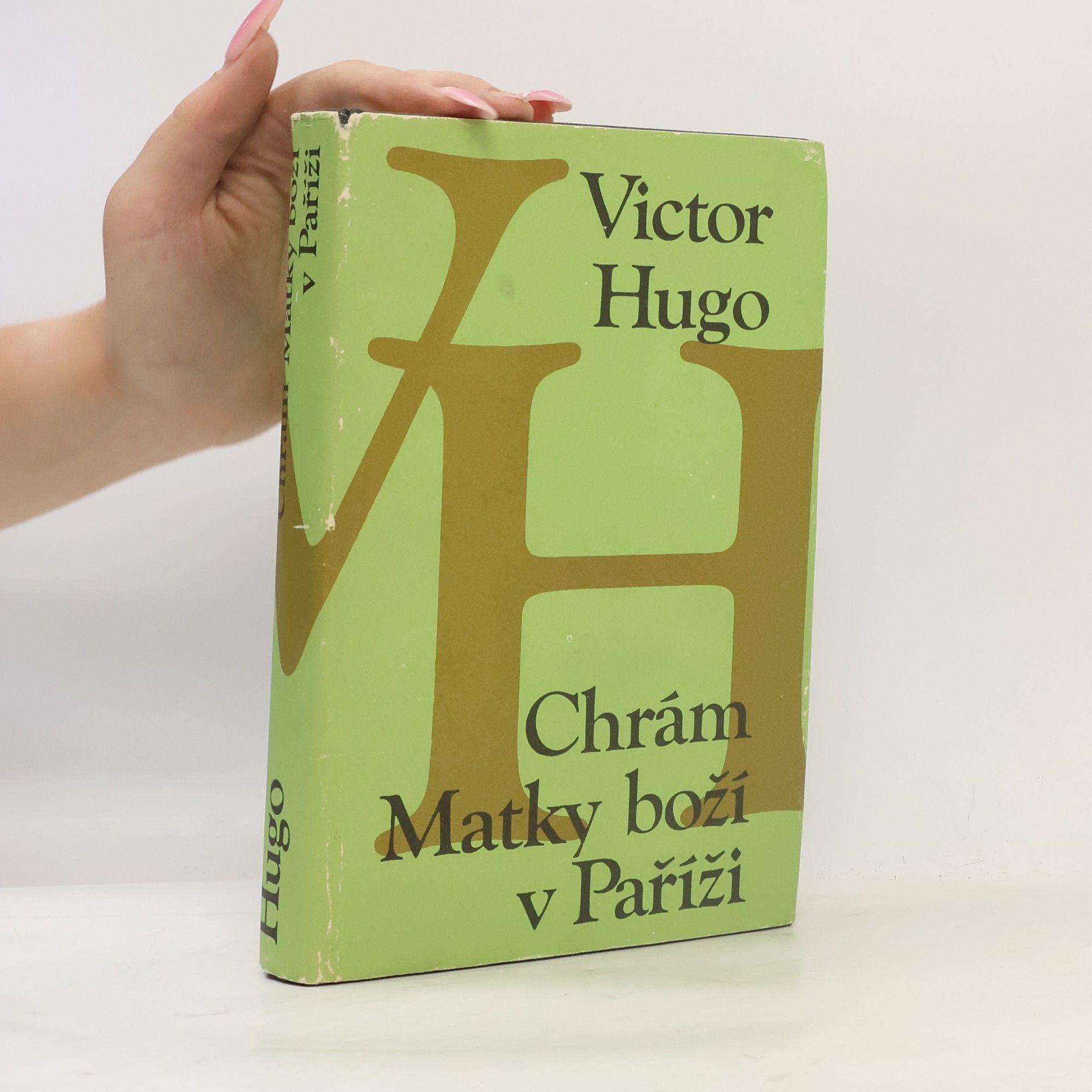 Victor Hugo Chrám Matky boží v Paříži