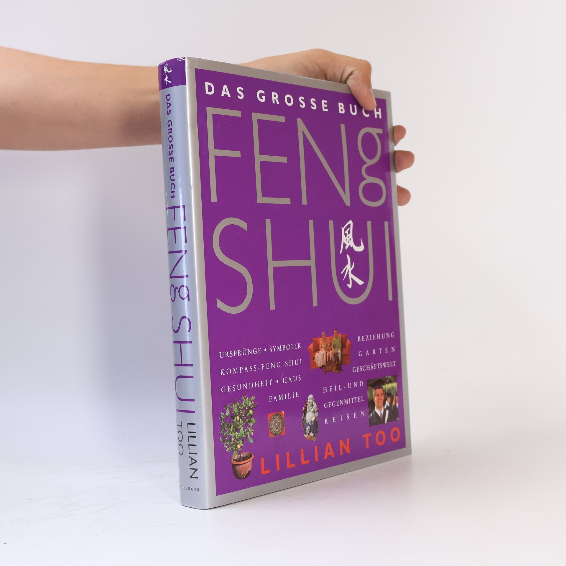 Lillian Too Das grosse Buch Feng Shui
