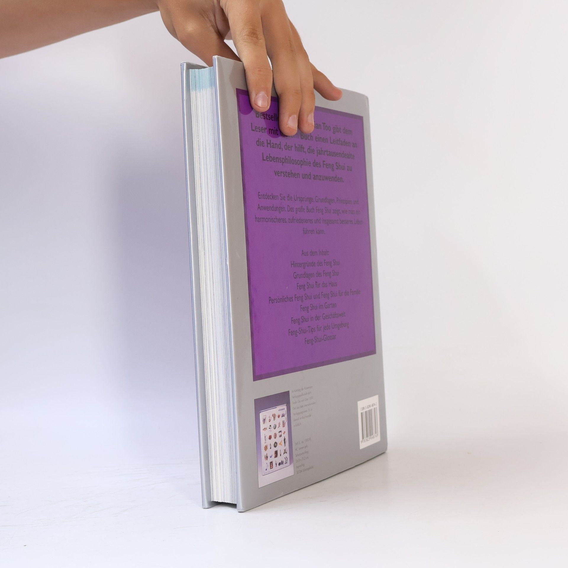 Lillian Too Das grosse Buch Feng Shui