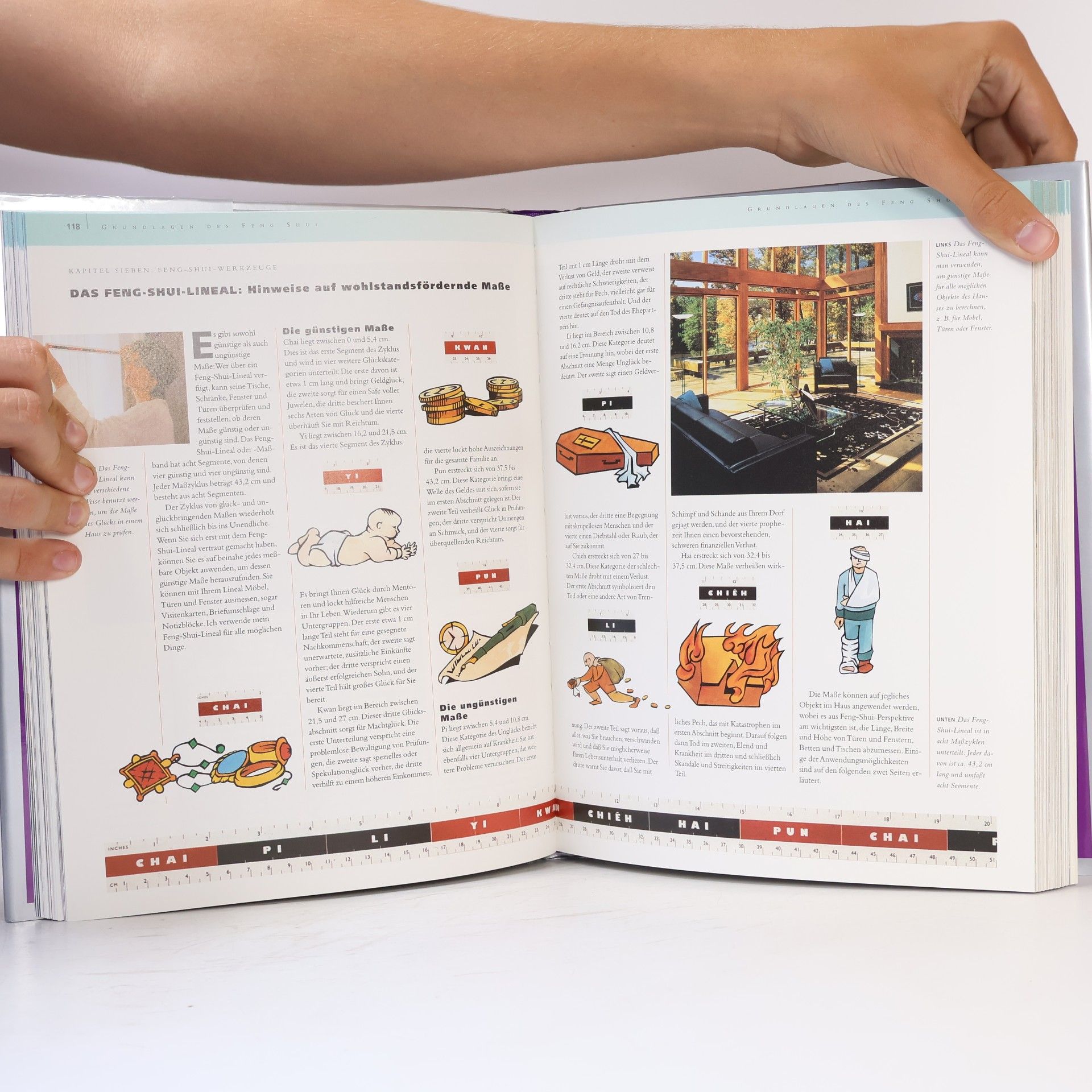 Lillian Too Das grosse Buch Feng Shui