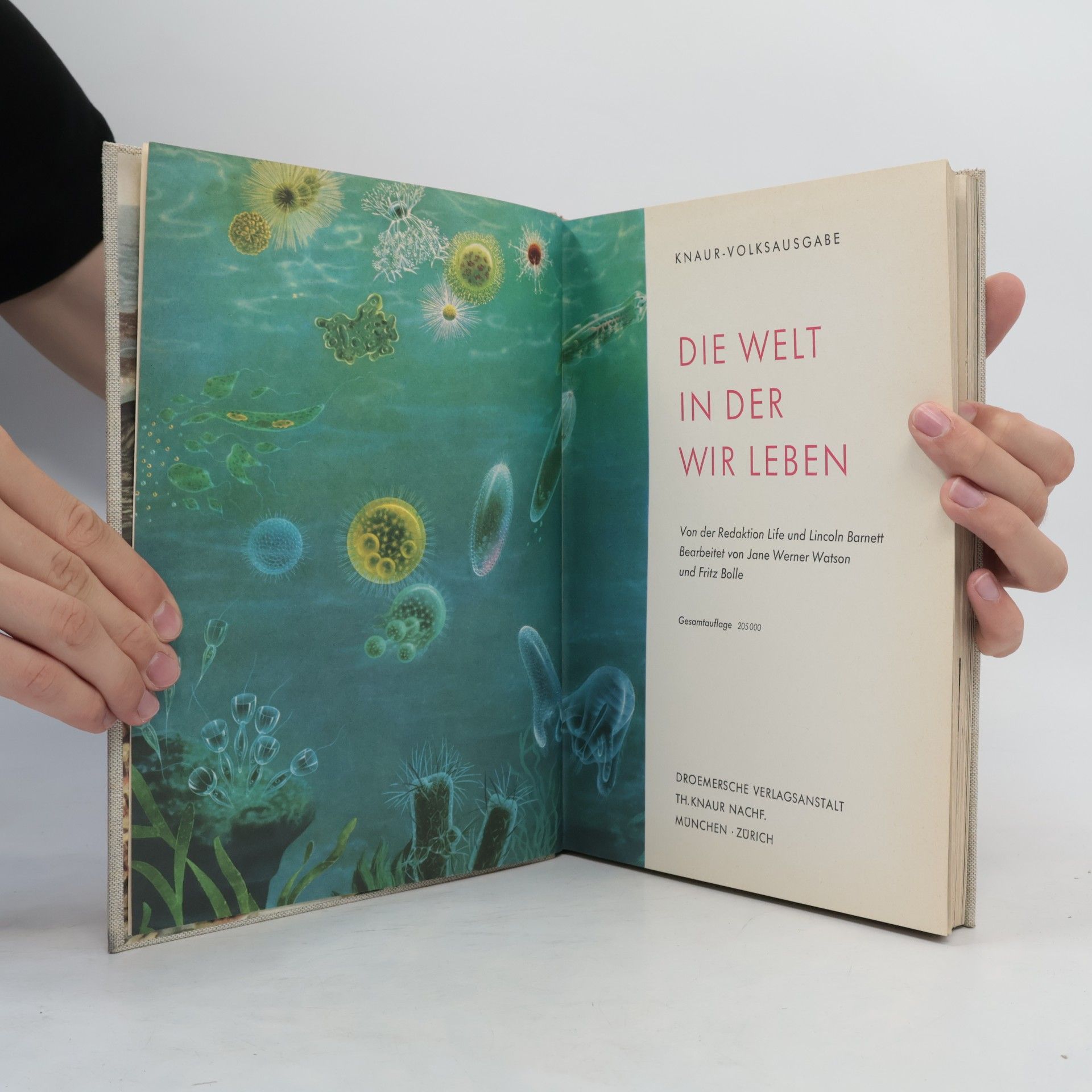 Lincoln Barnett Die Welt in der wir leben