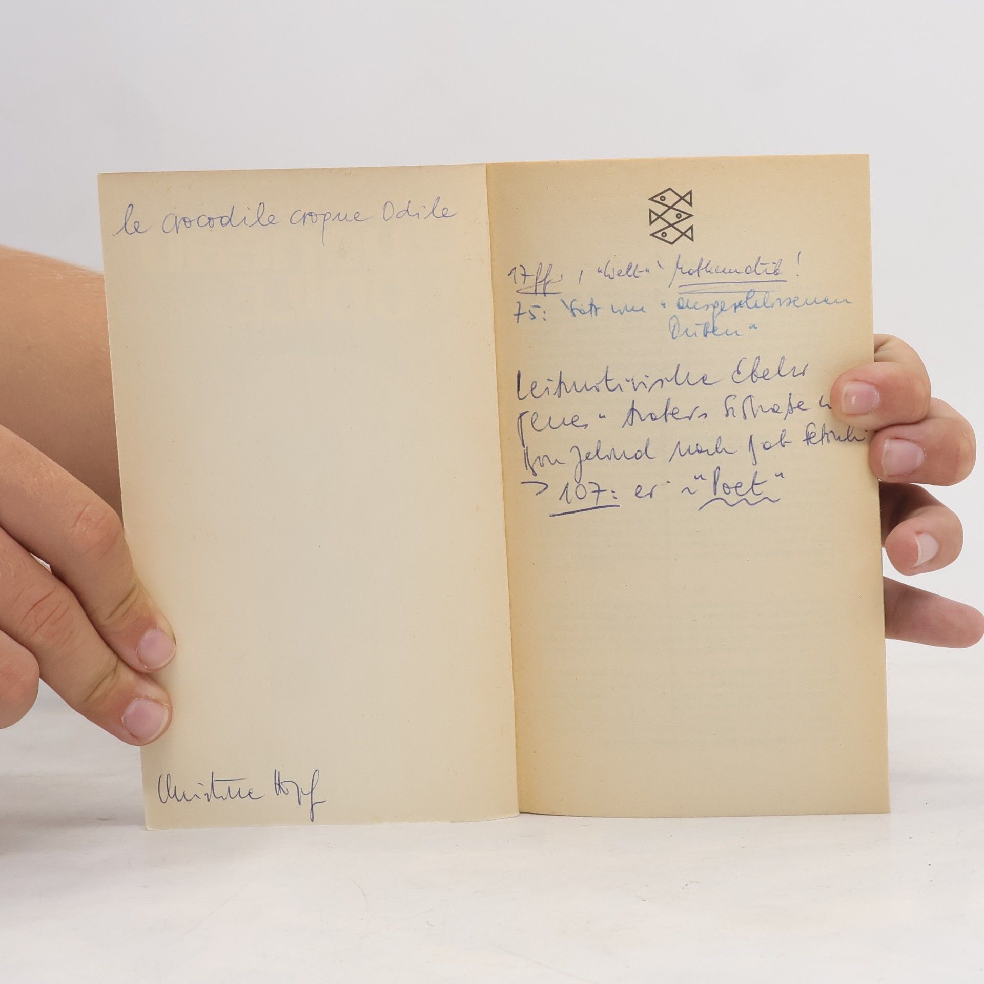 Raymond Queneau Odile