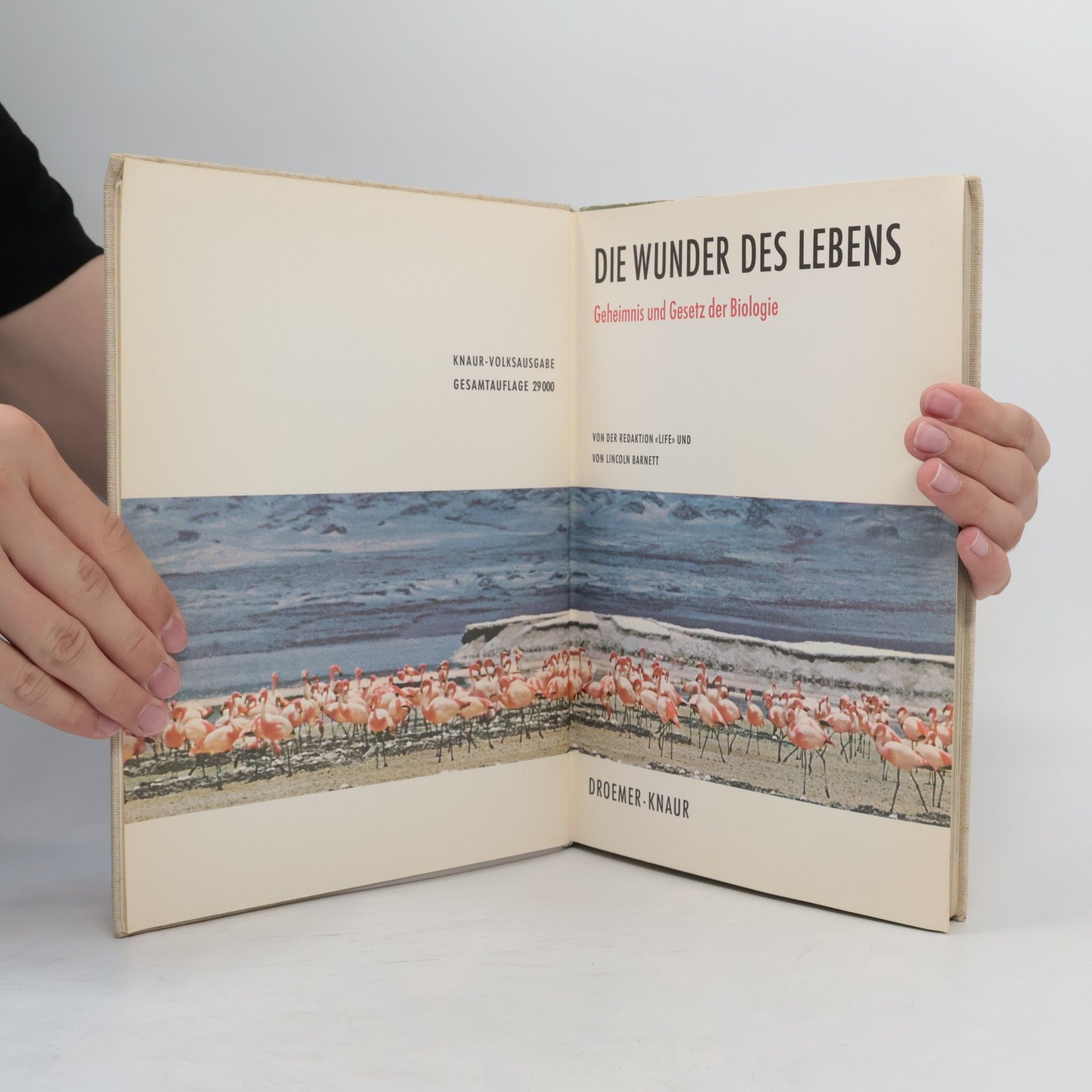 Autorenkollektiv Die Wunder des Lebens