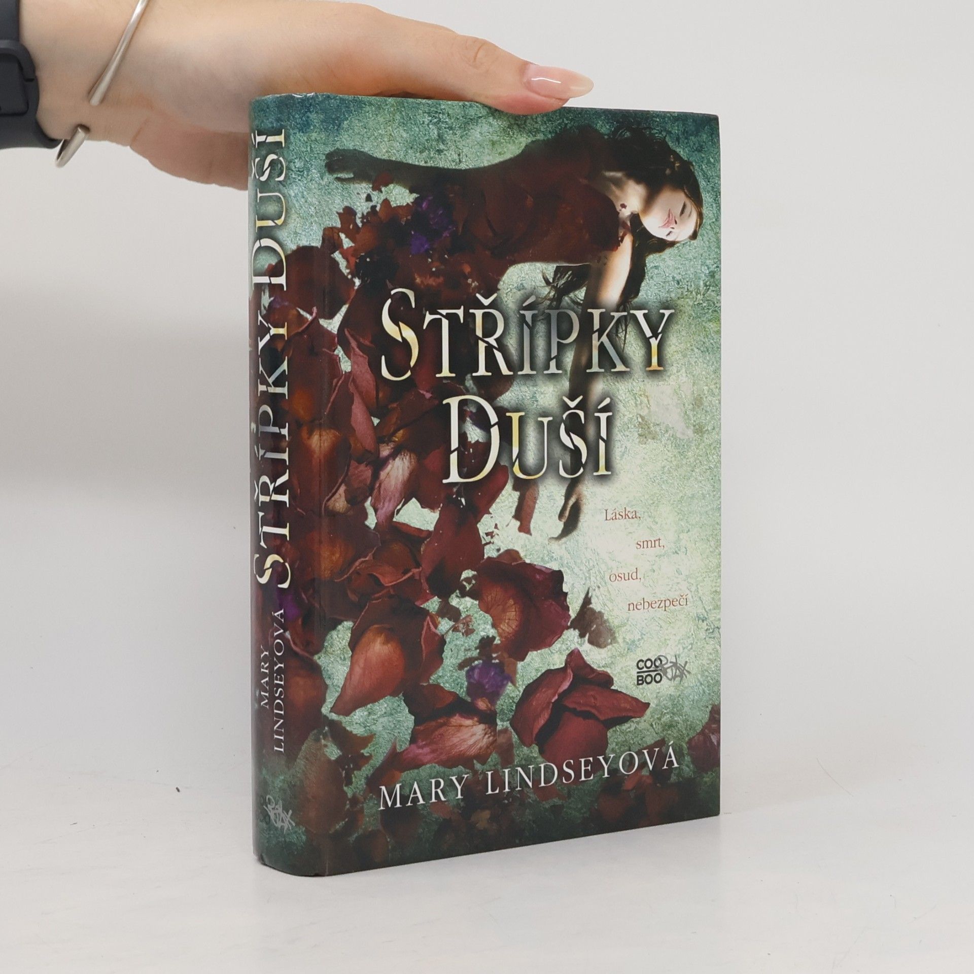 Mary Lindsey Střípky duší