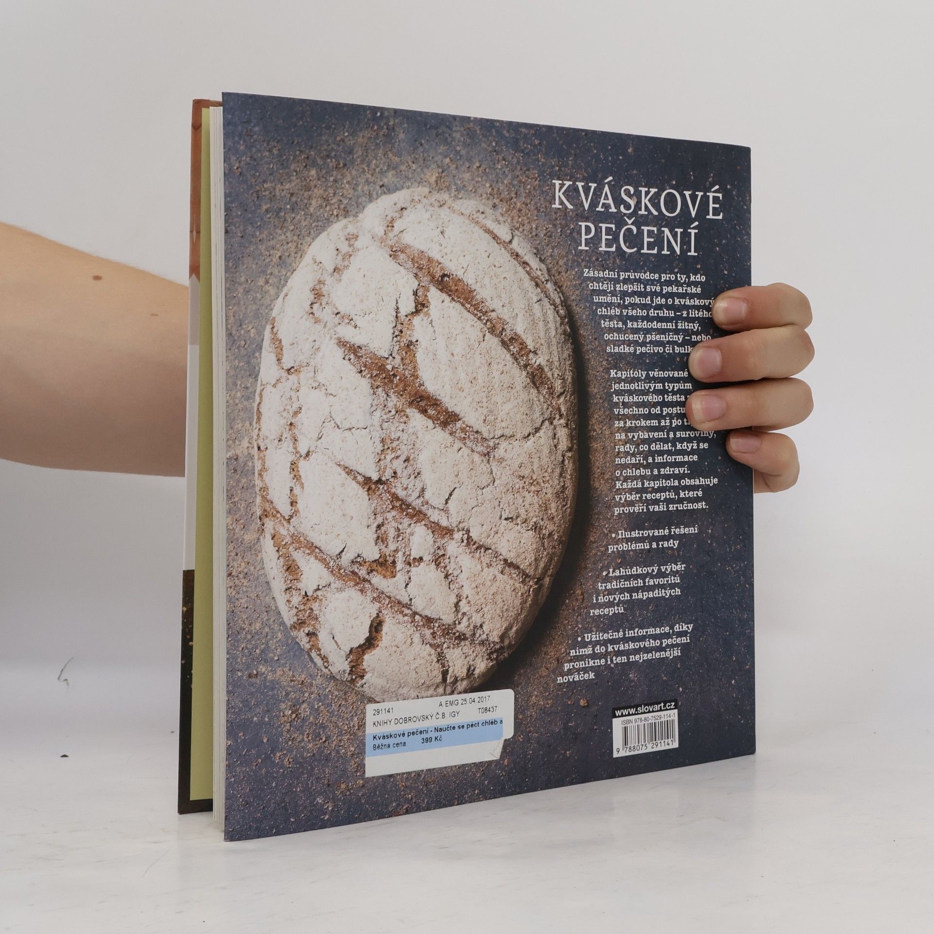 Jane Mason Kváskové pečení. Naučte se péct chléb a pečivo s kvásky
