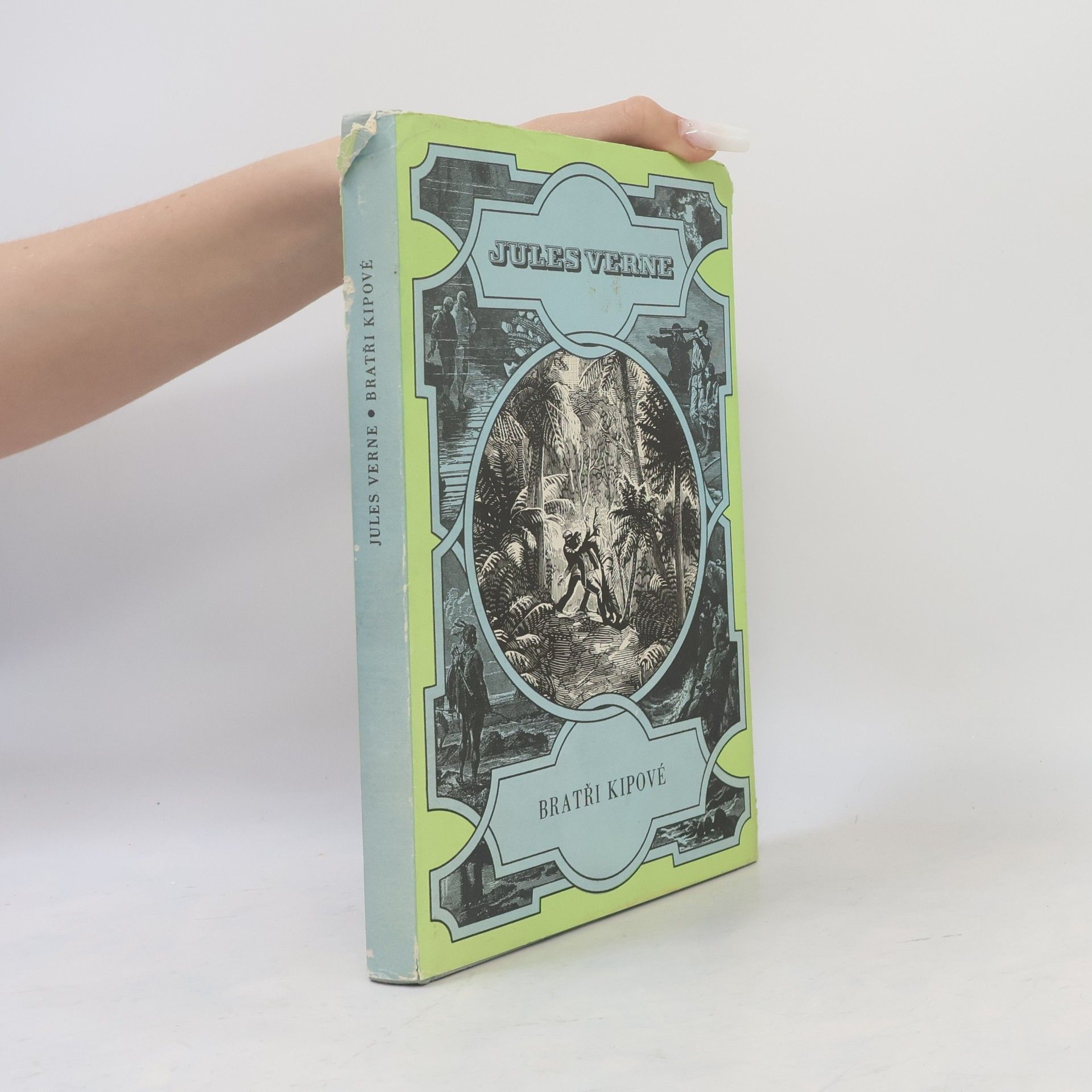 Jules Verne Bratři Kipové