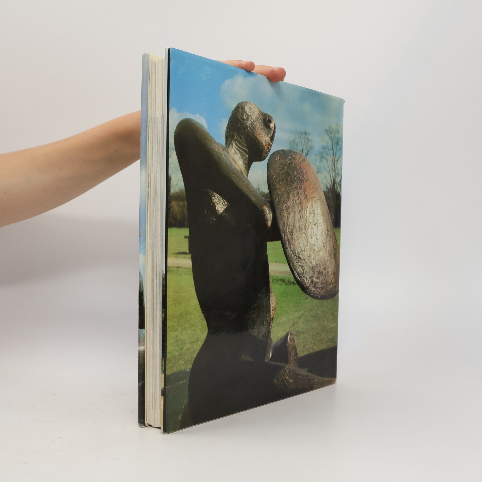 Henry Moore Henry Moore. Plastiky a myšlenky kolem nich