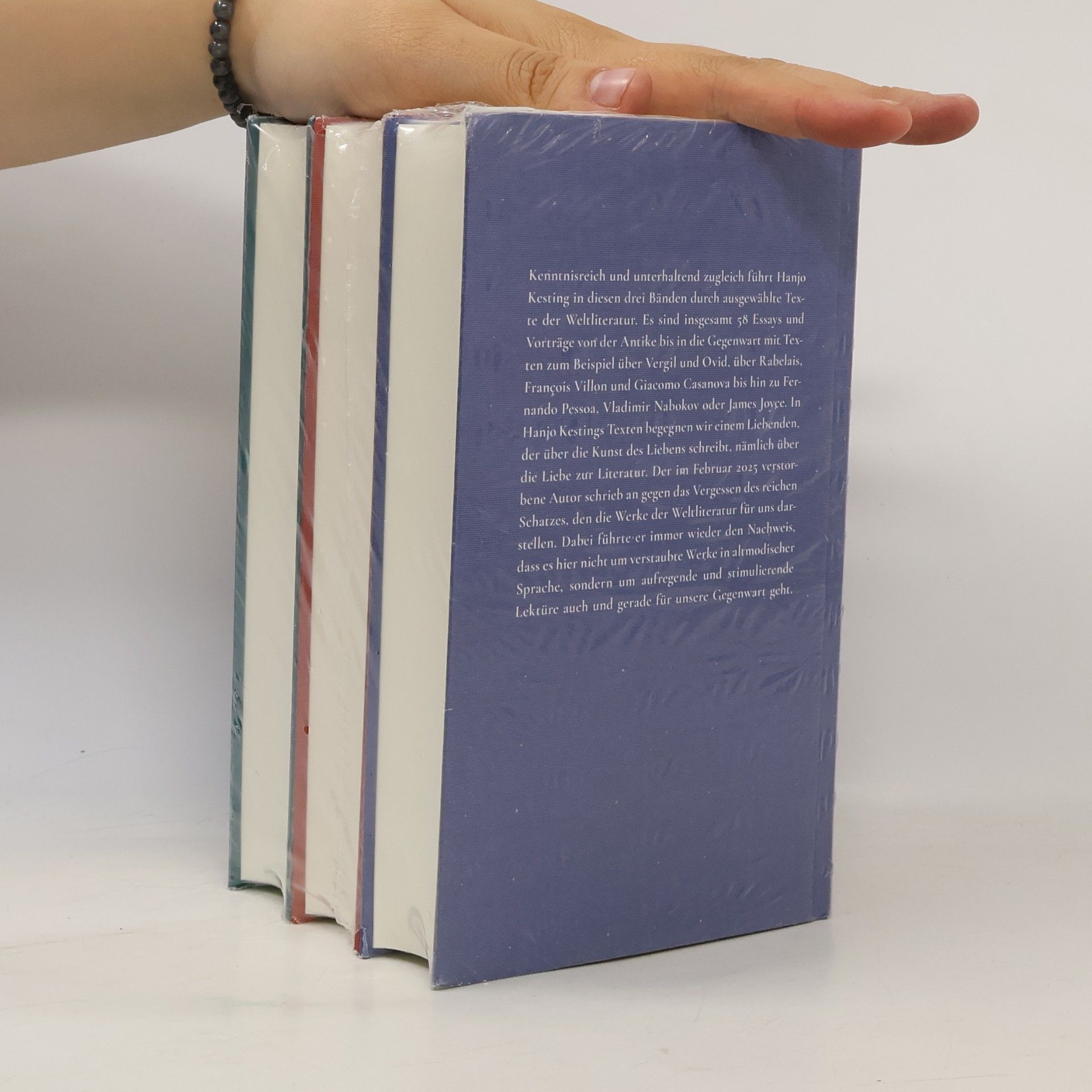 Hanjo Kesting Weltliteratur I.-III.