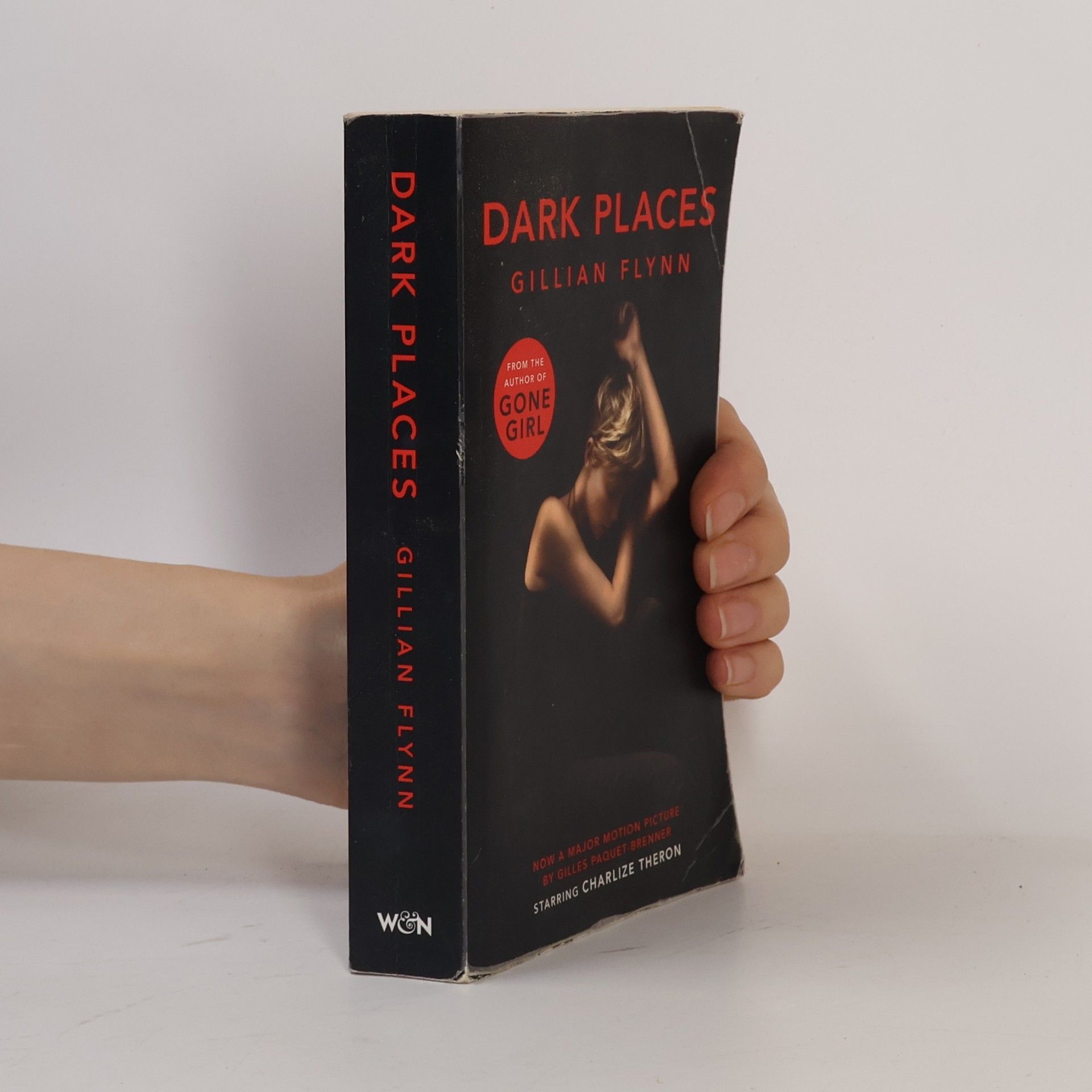 Gillian Flynn Dark Places