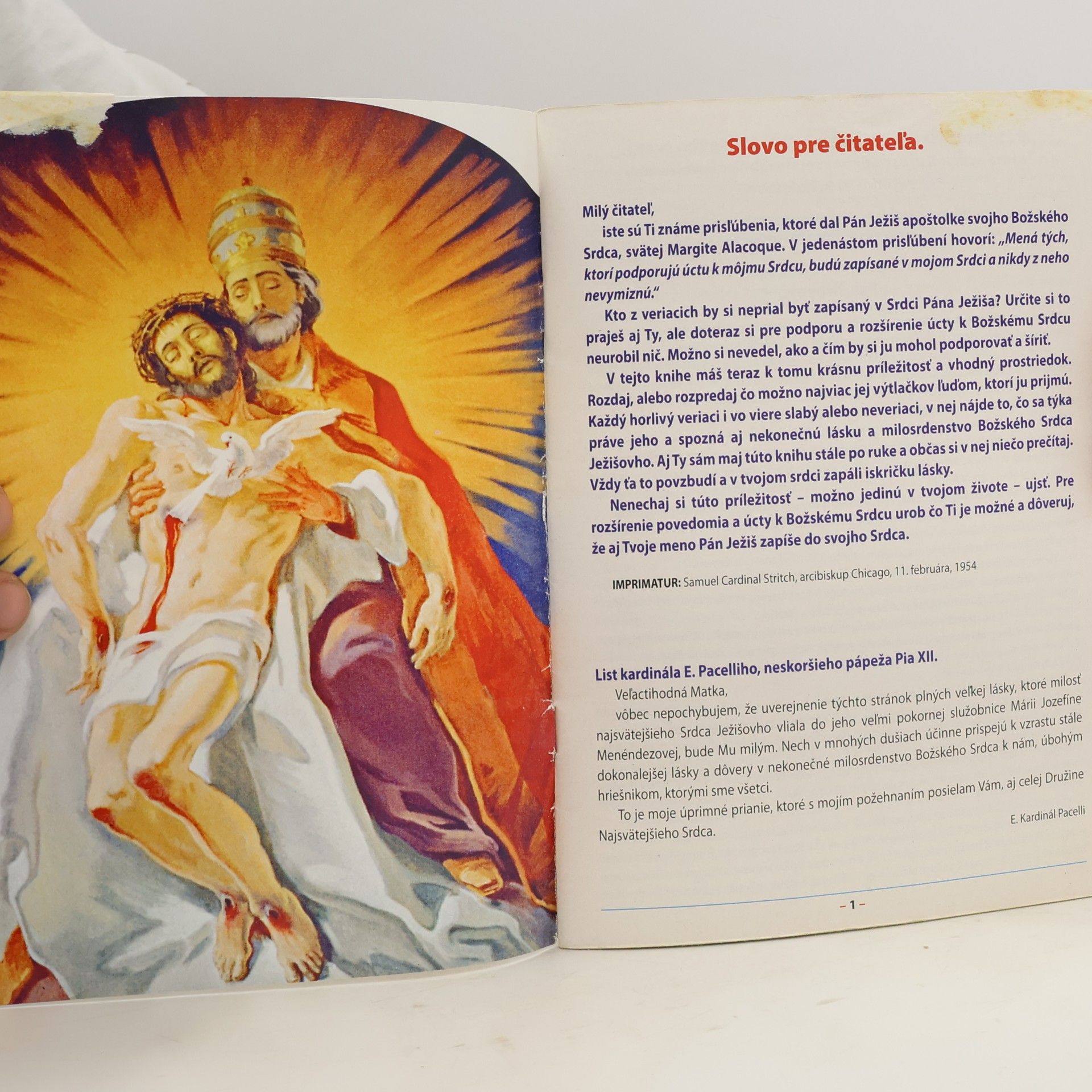 Autores varios Posolstvá Božského Srdca svetu, vizionárke Jozefe Menéndezovej