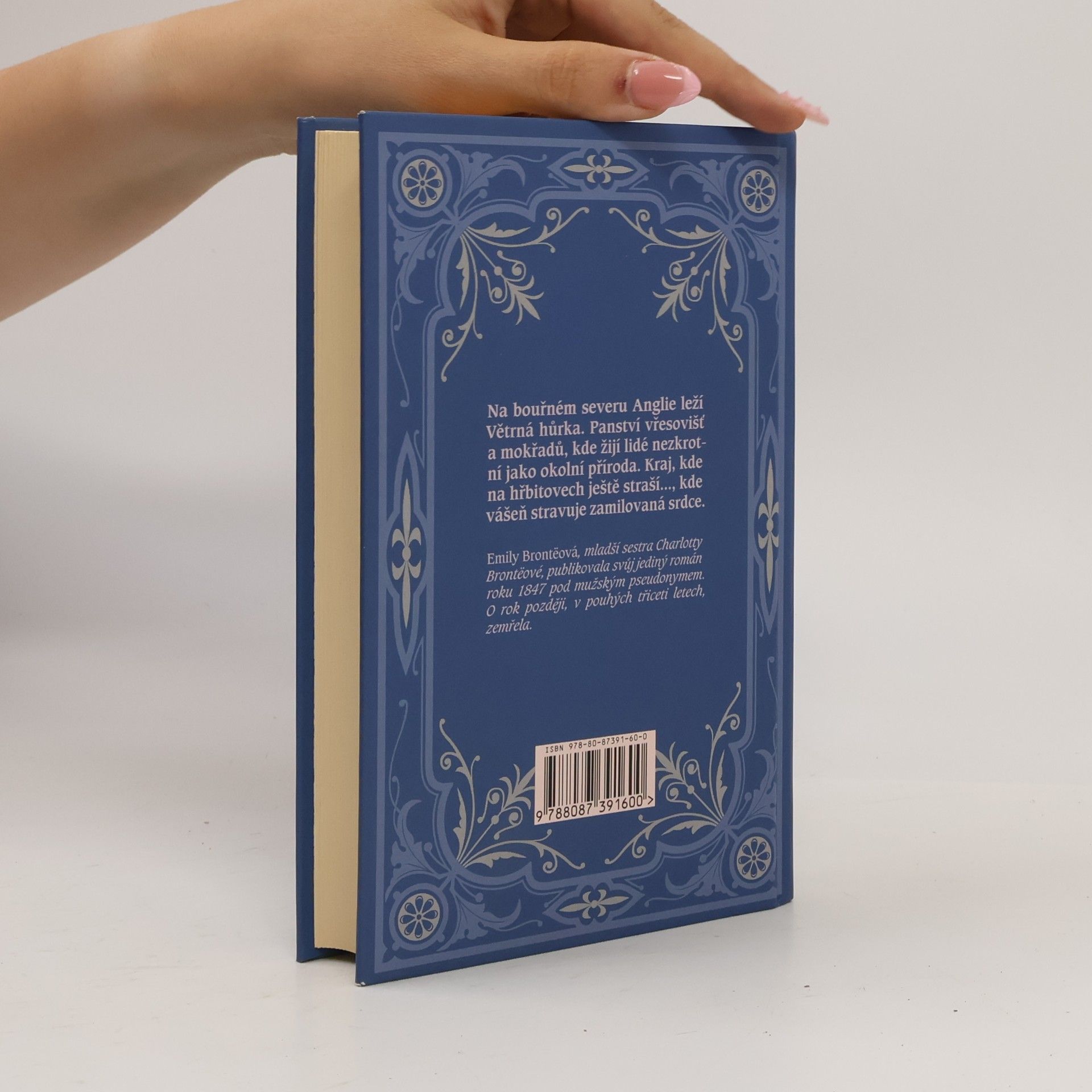 Emily Brontë Na větrné hůrce