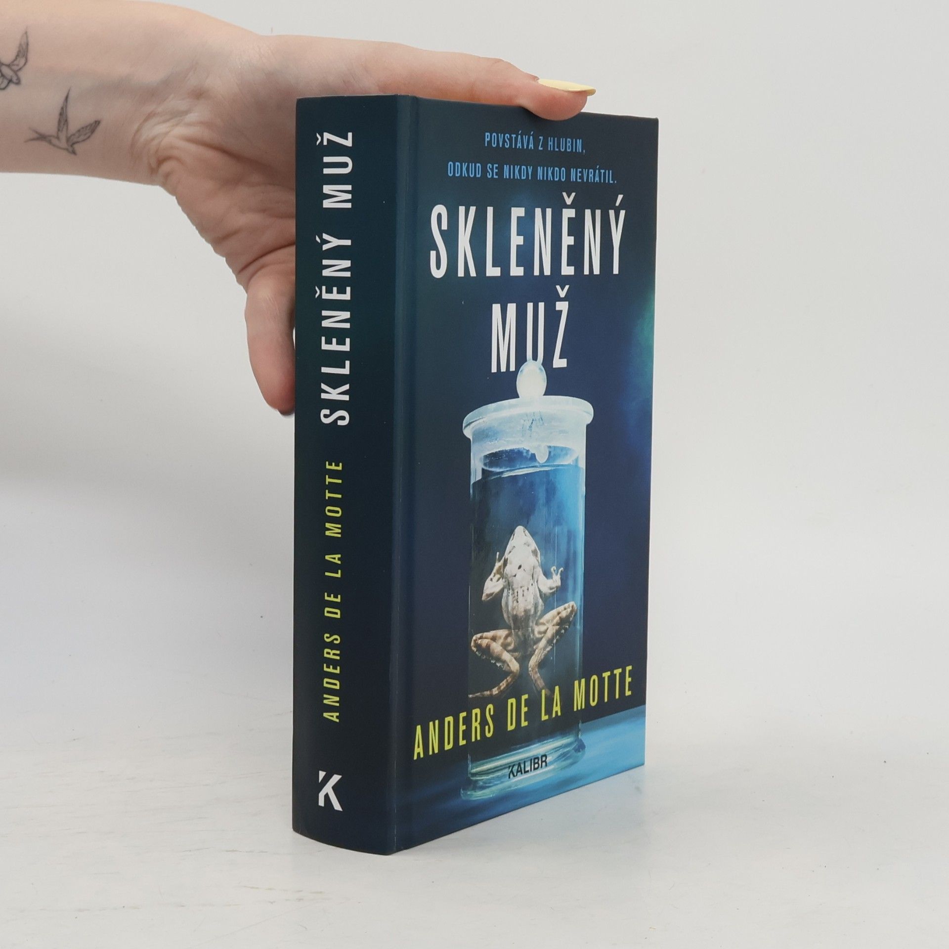 Anders de la Motte Skleněný muž
