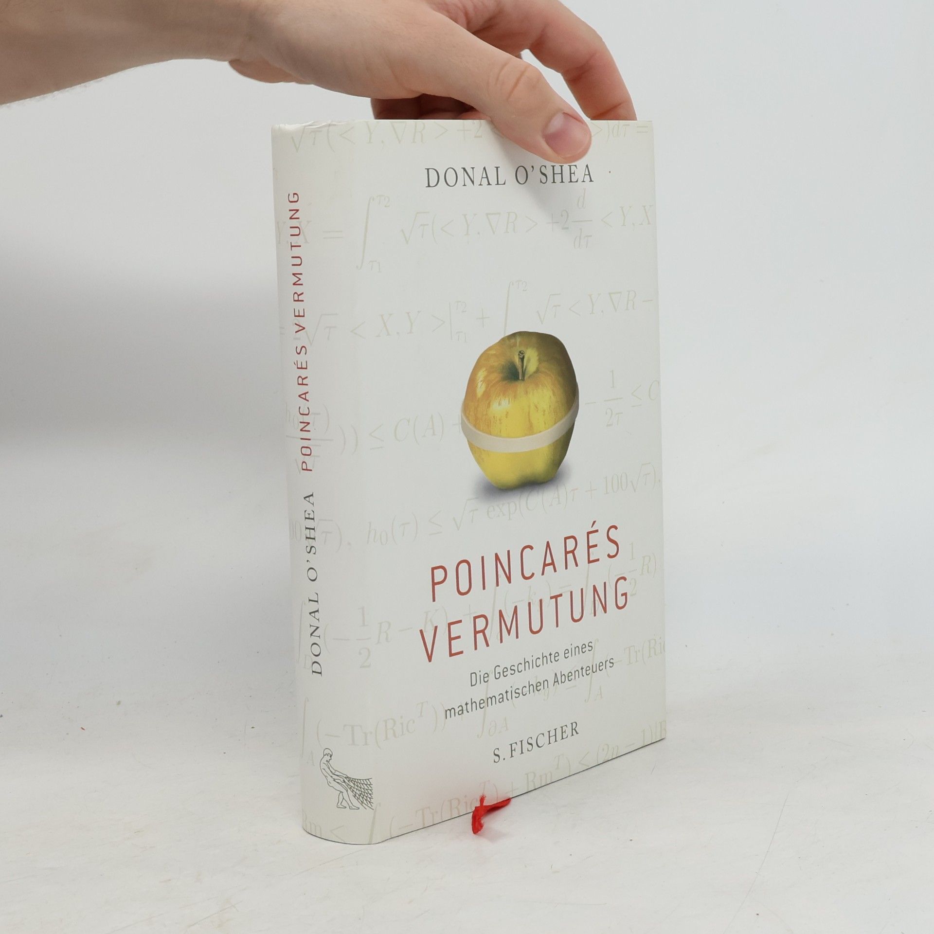 Donal O. Shea Poincarés Vermutung