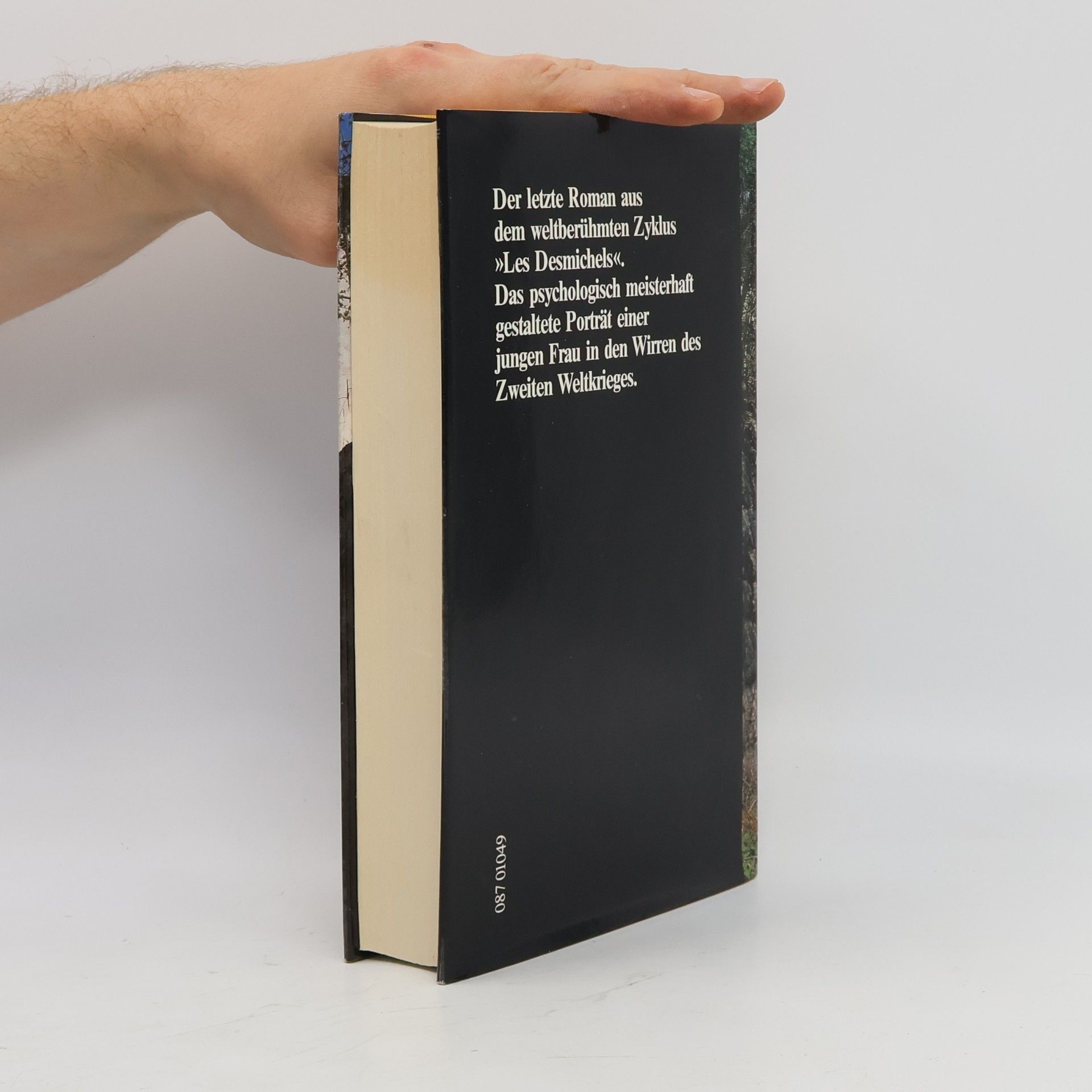 Thyde Monnier Unser Fräulein Lehrerin: Roman