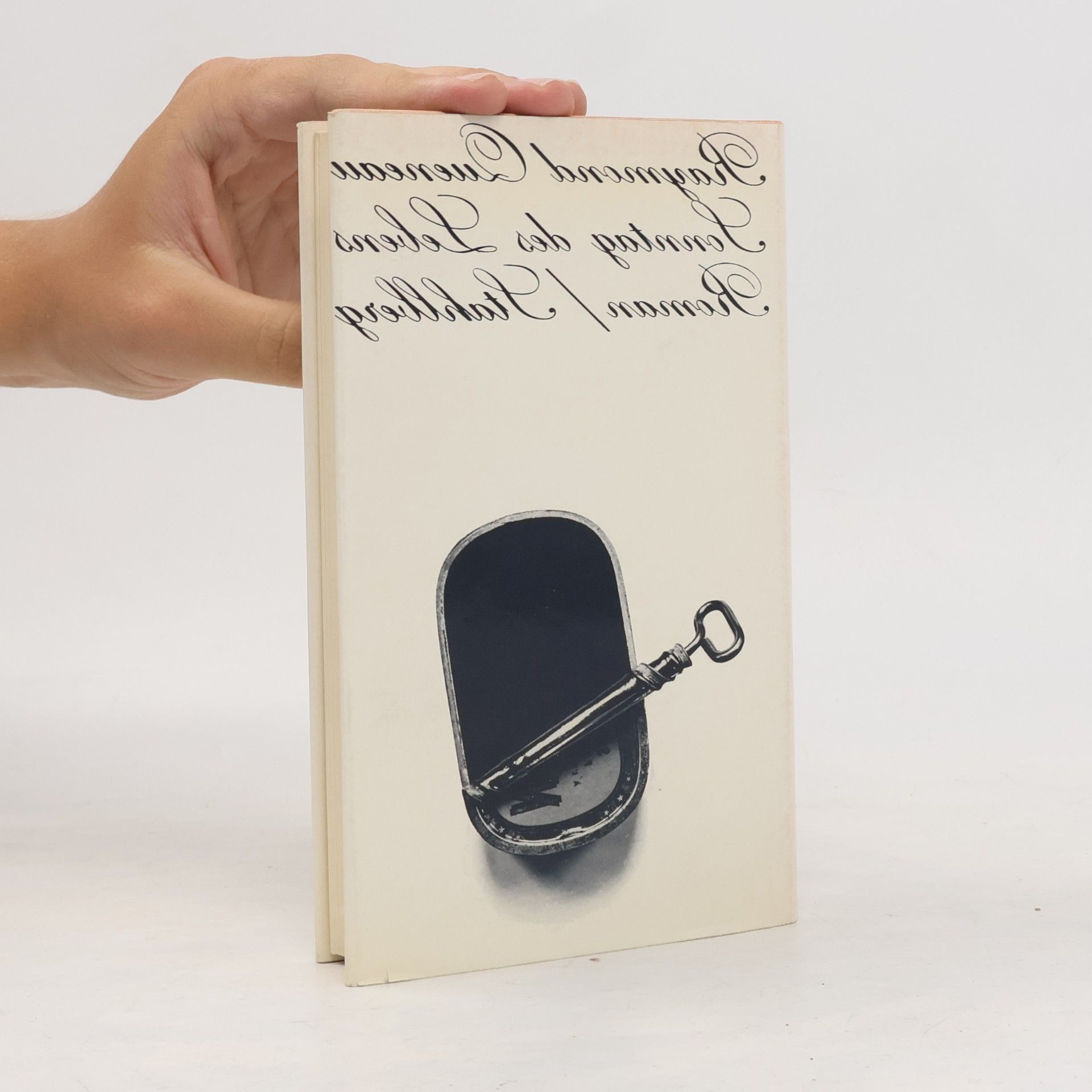 Raymond Queneau Sonntag des Lebens
