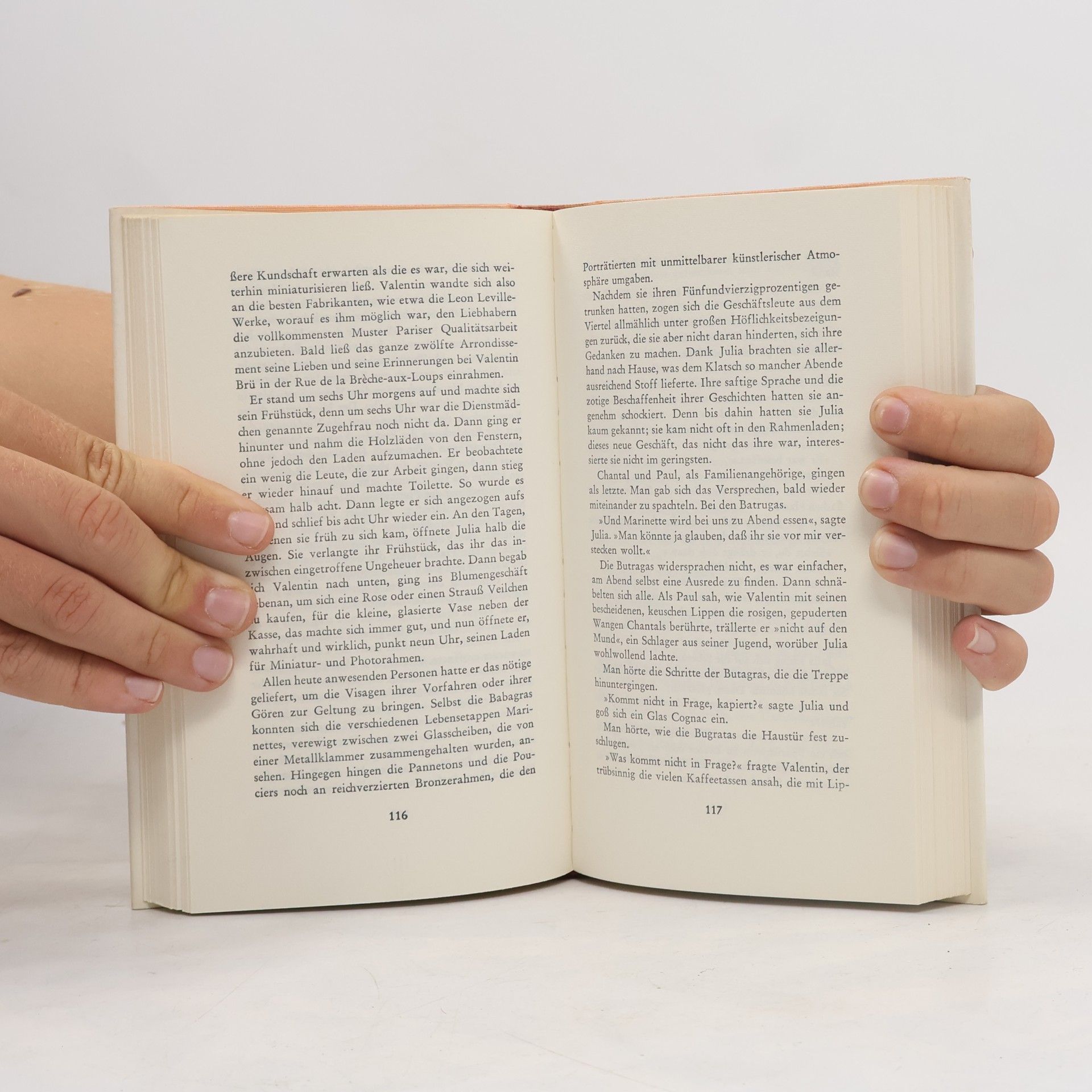Raymond Queneau Sonntag des Lebens